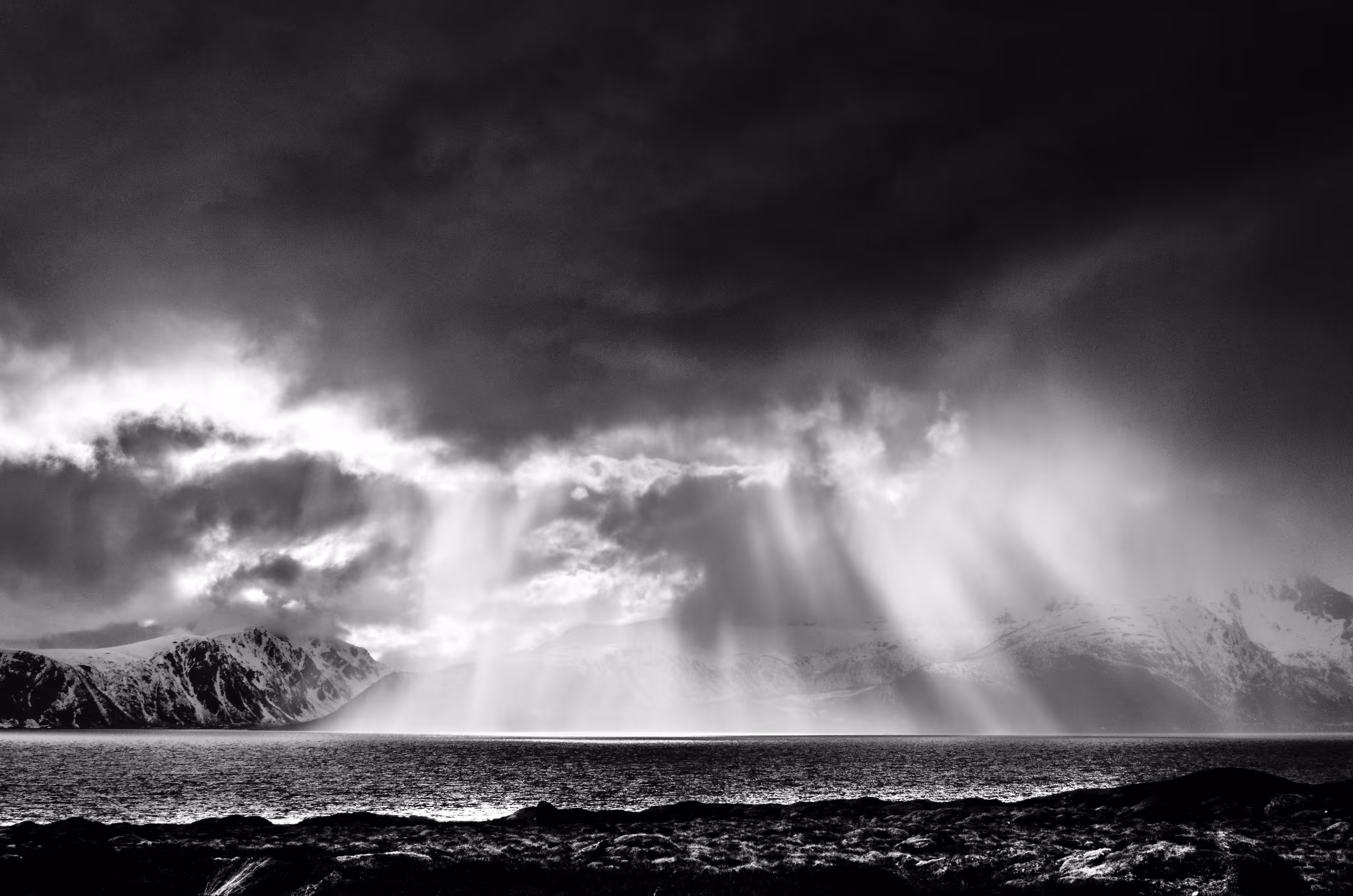 Shining trough the storm