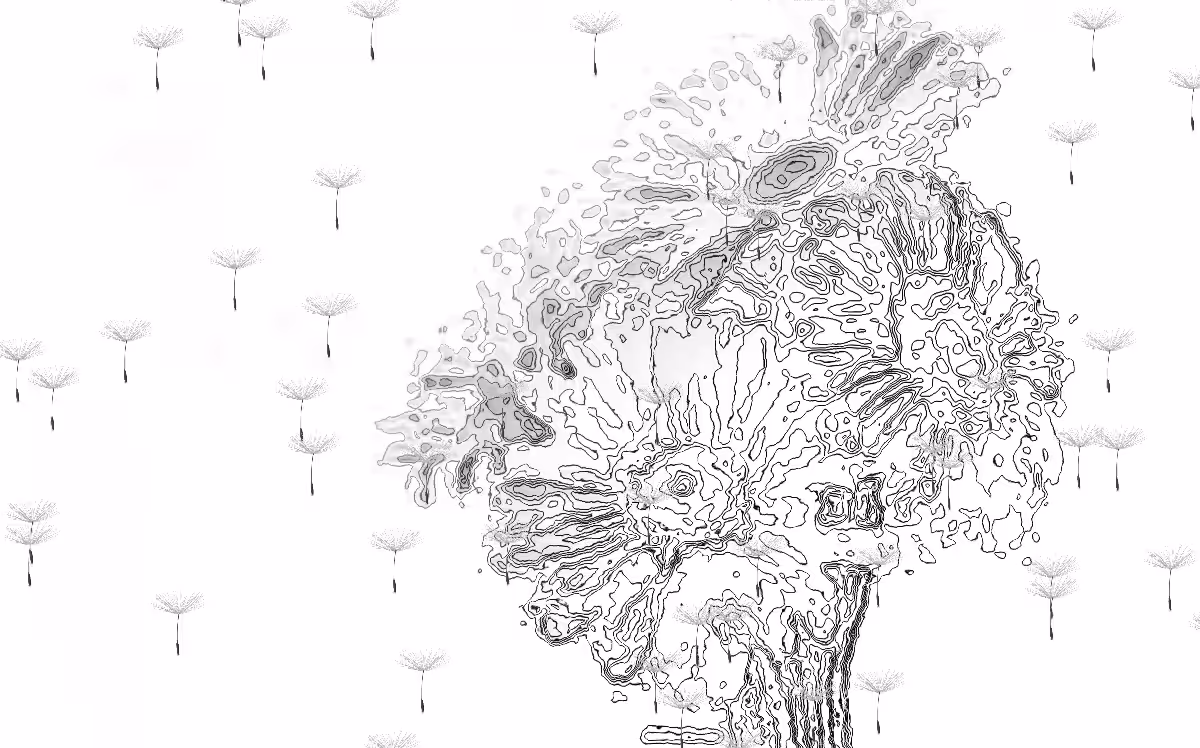 Dandelions