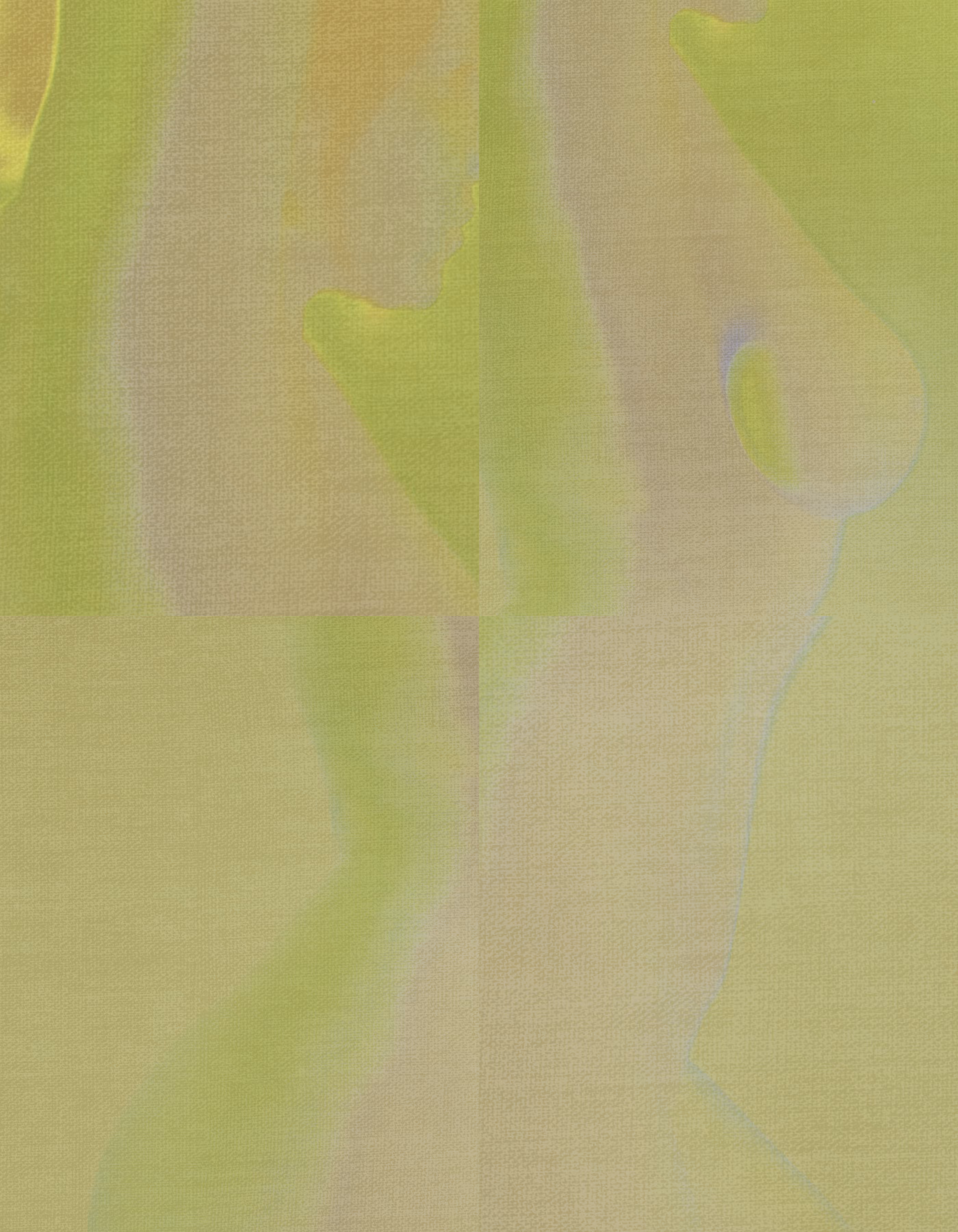 Bodies of Color #01