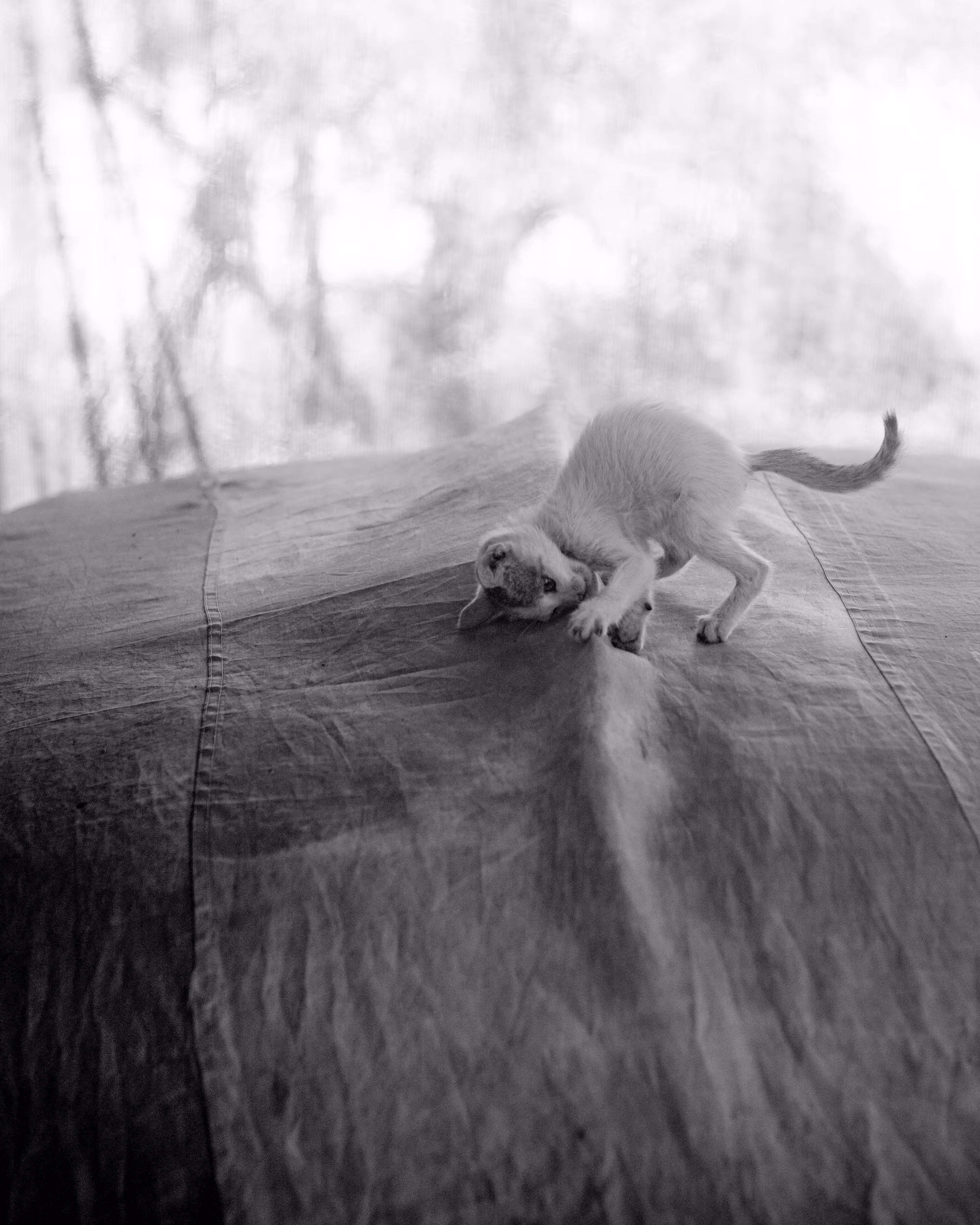 Small moments of joy
