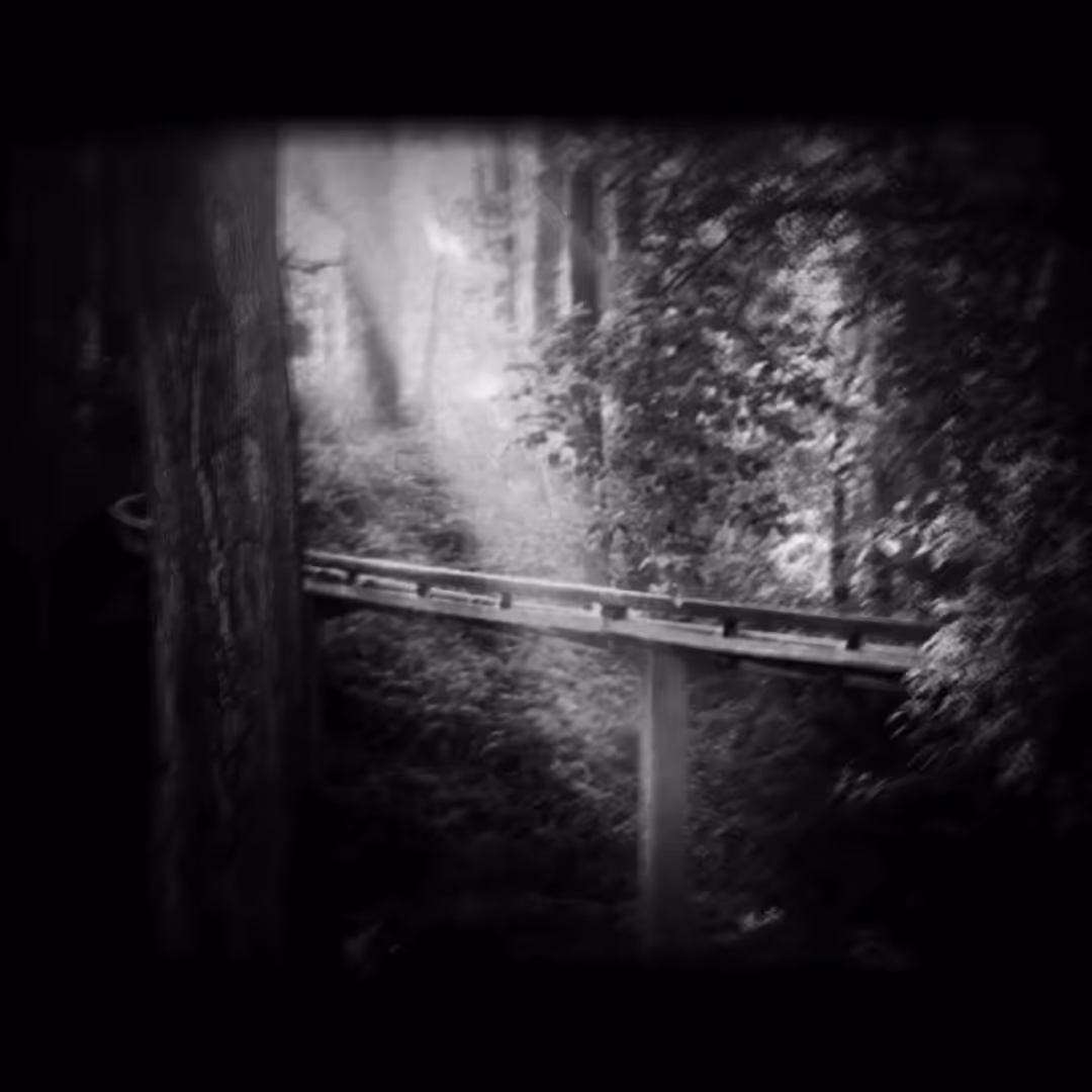 Faded Memories [Part Three]