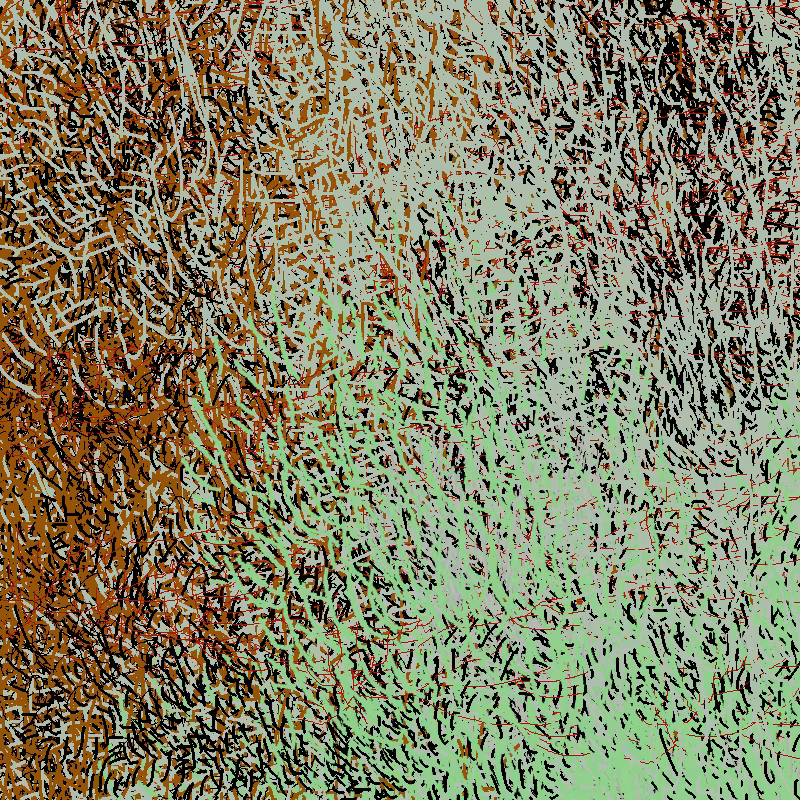 a bird worked on my painting #3