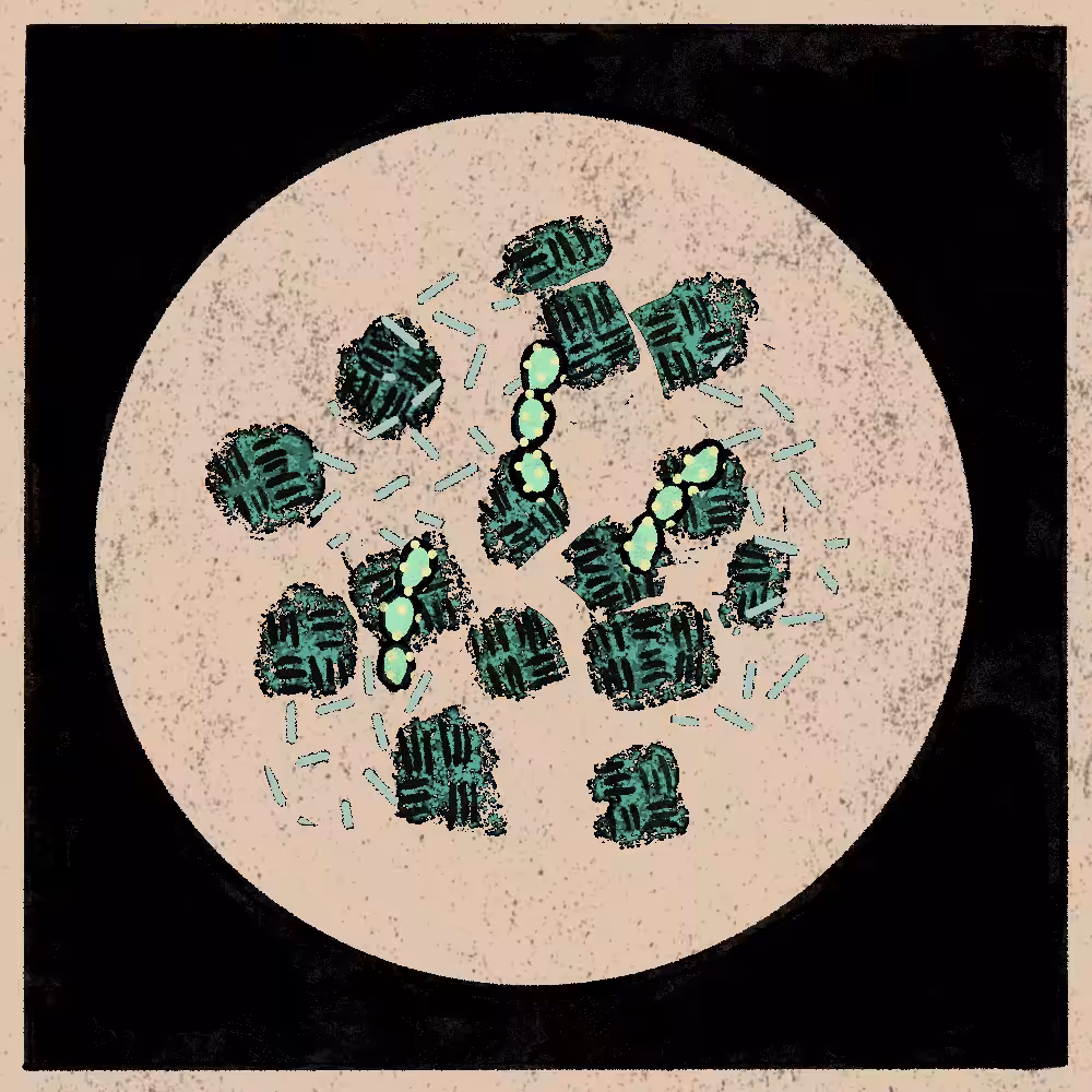 Microbes #117
