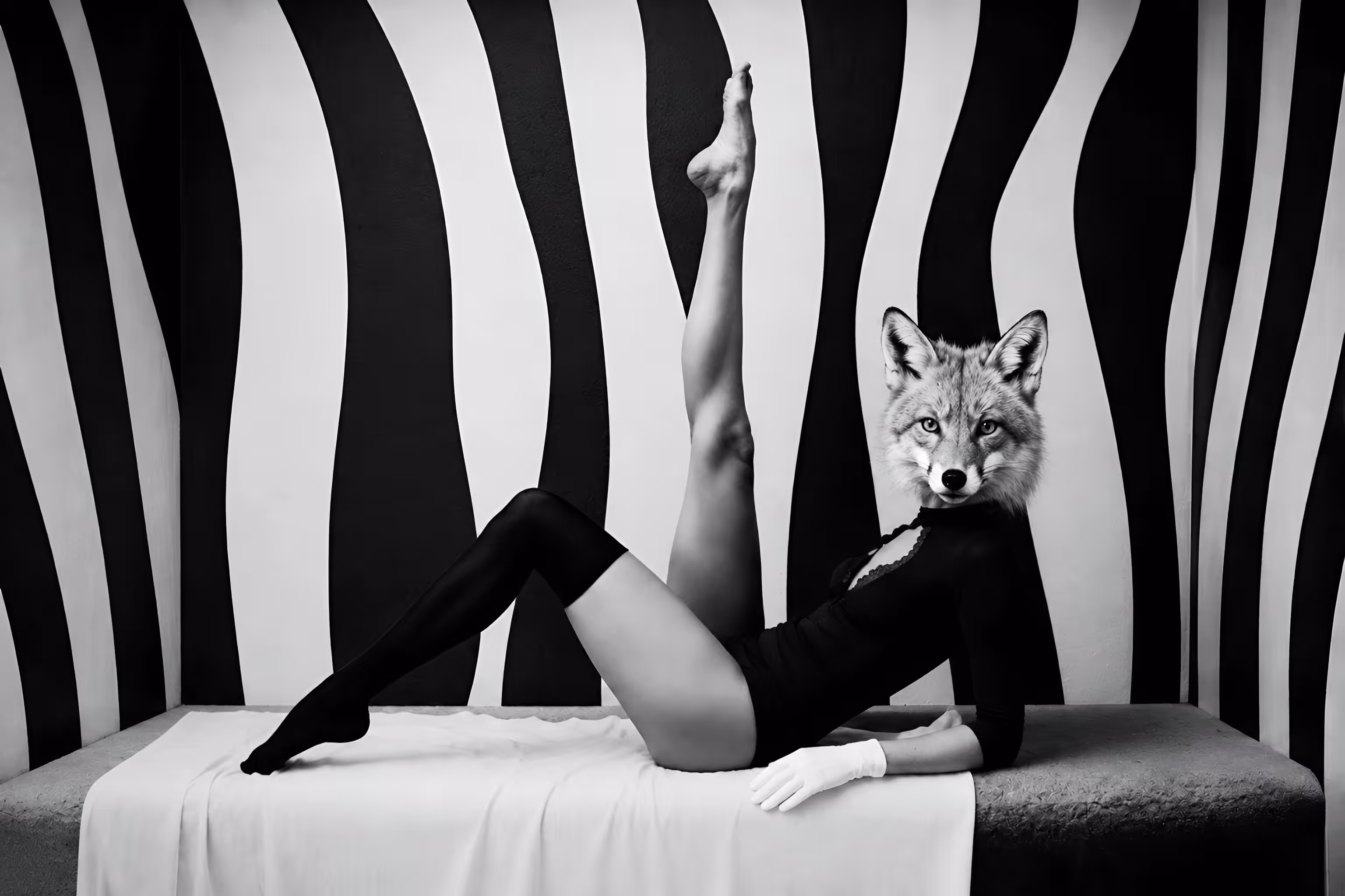 Gray: Vixen Vision