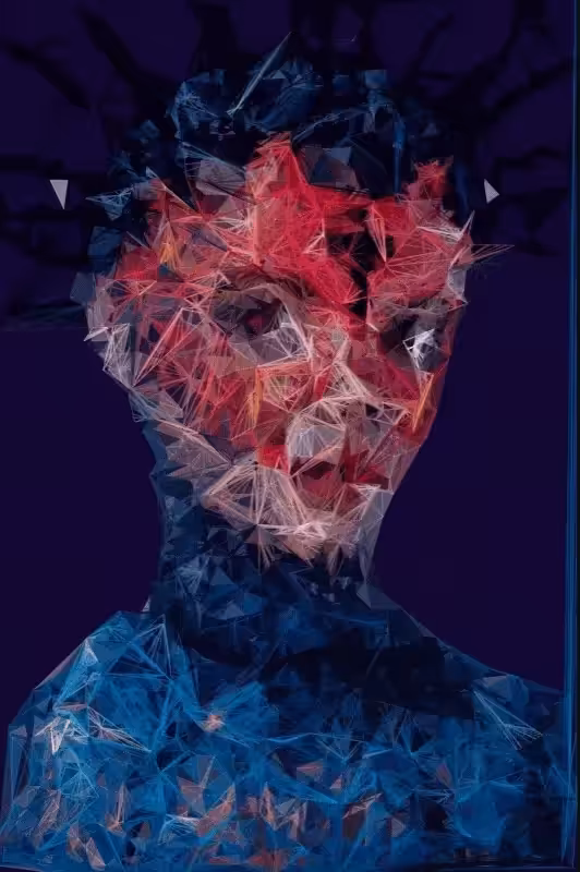 Code Portrait N01