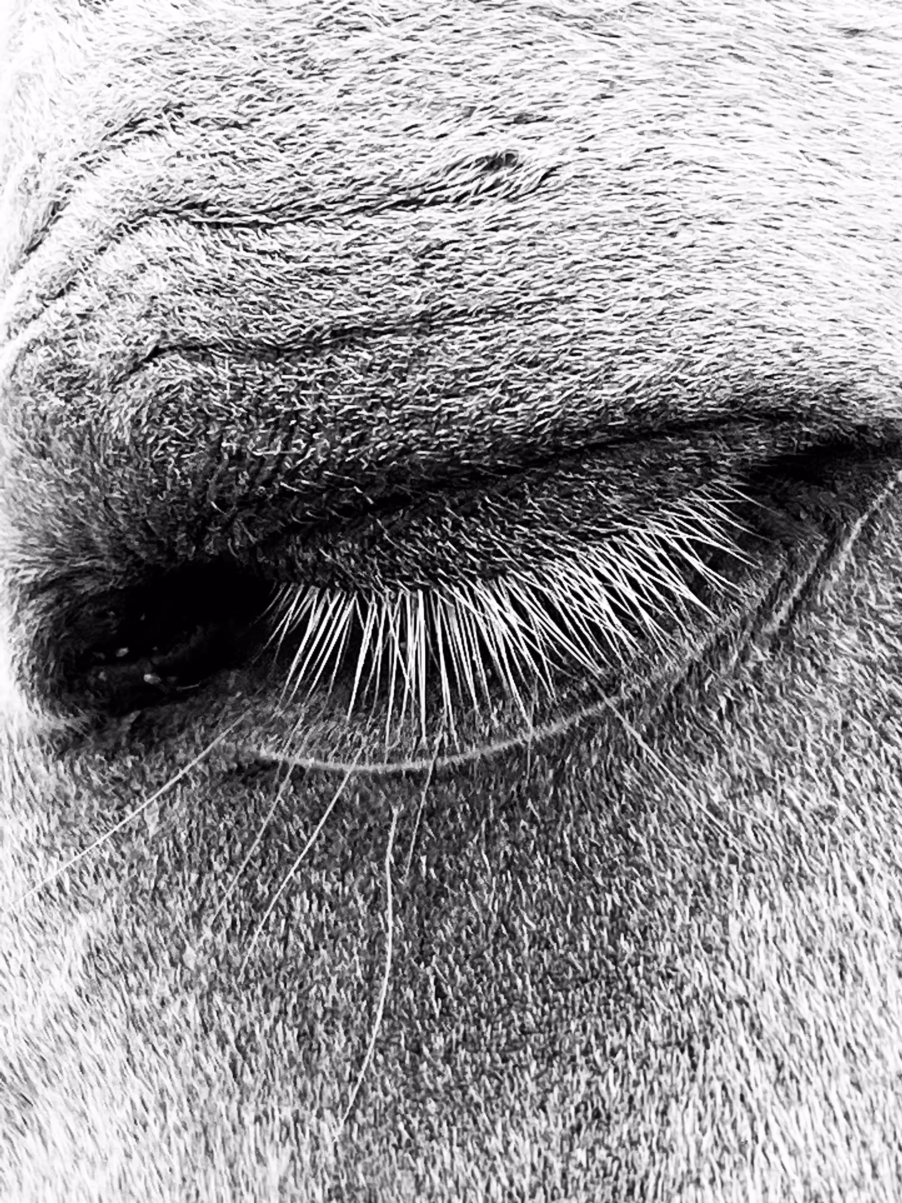 Eyes Don’t Lie