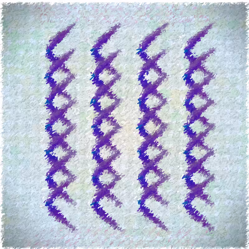 Maculas #20