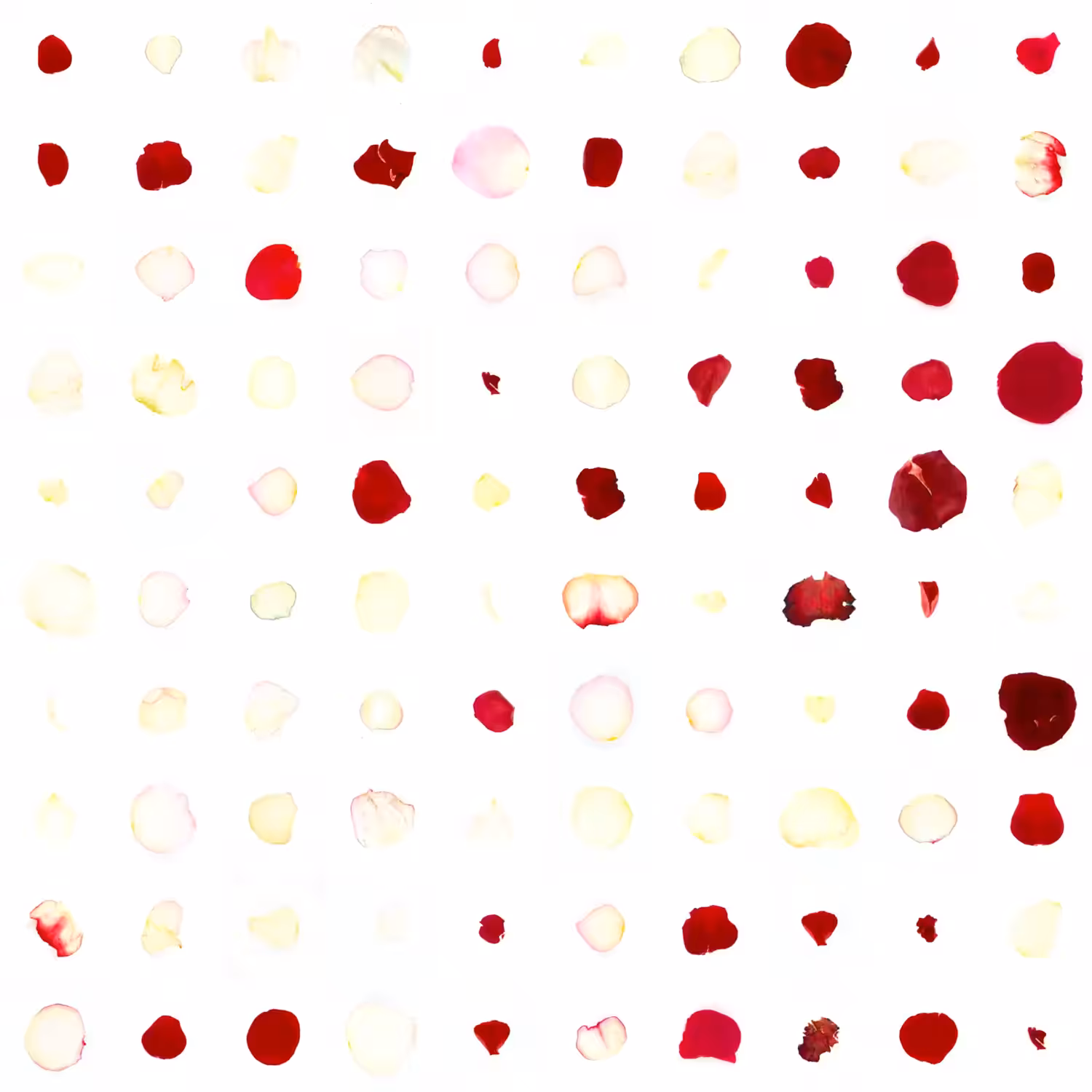 Infinite Petals 10x10#119