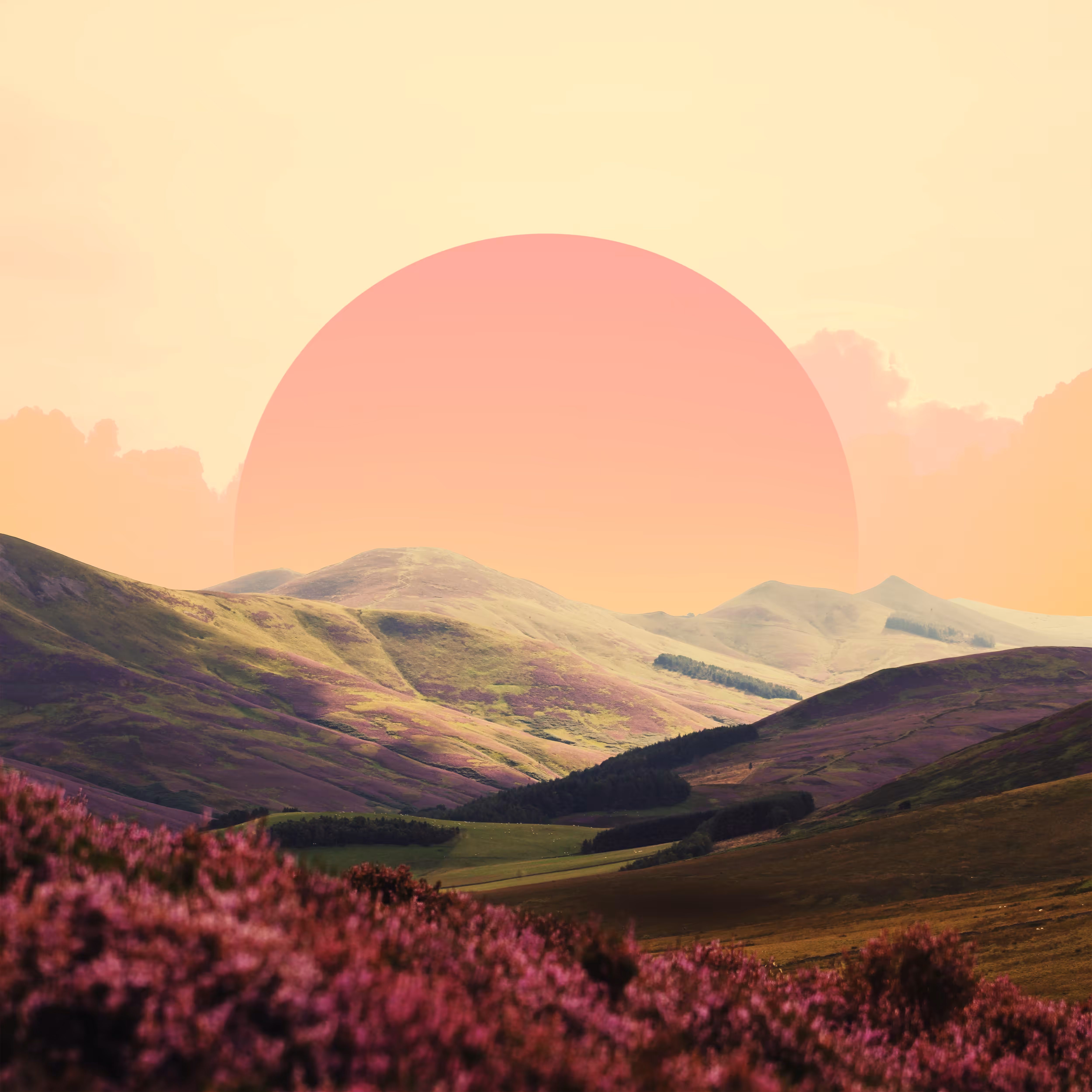 Landscape Of Calmness (2/3)