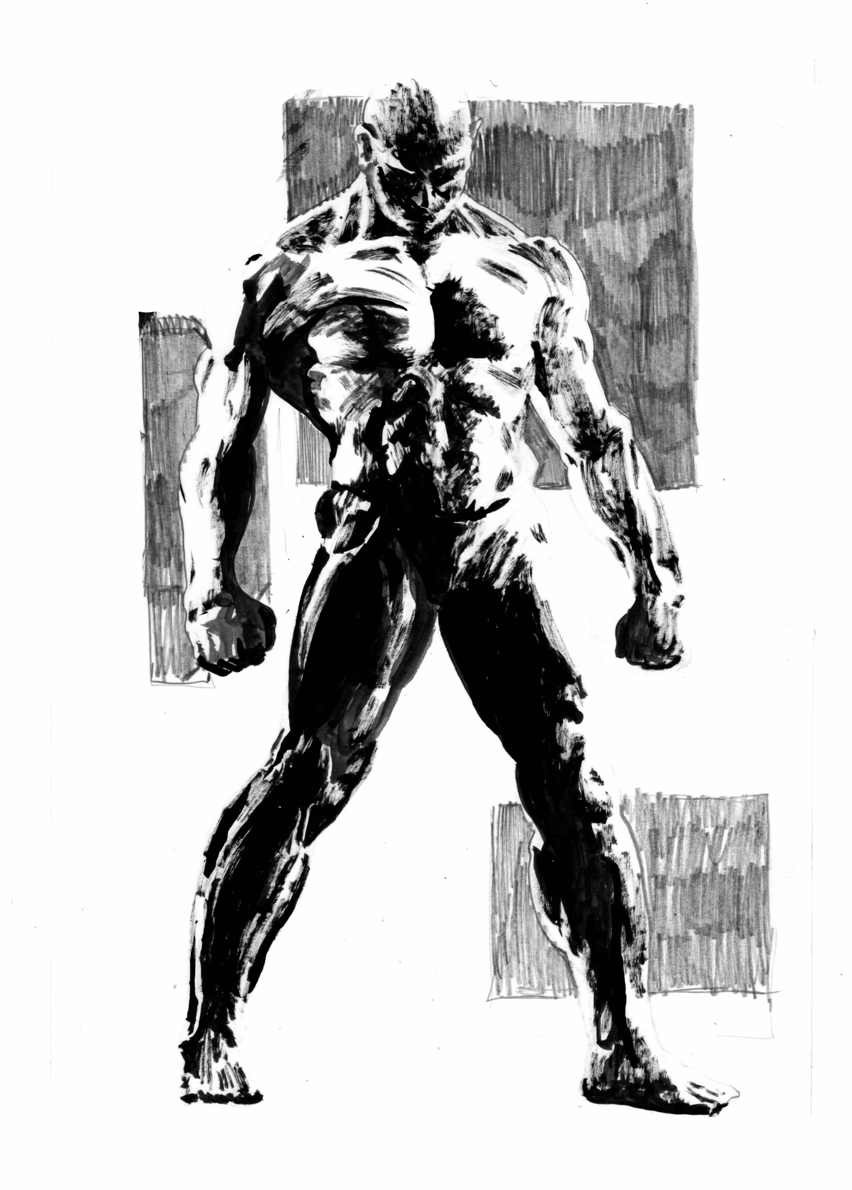 Anatomy study-dry brush
