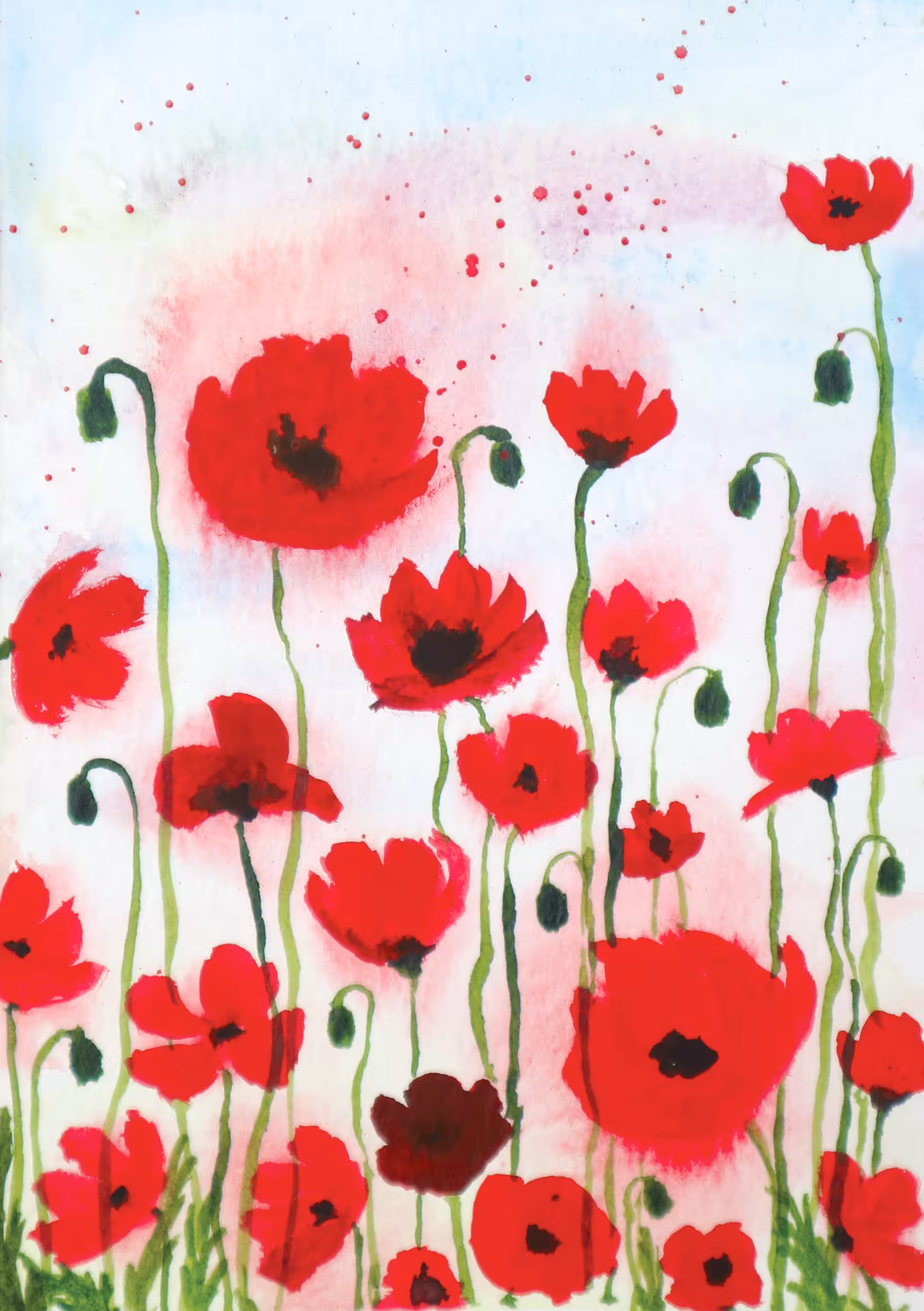 The Poppies