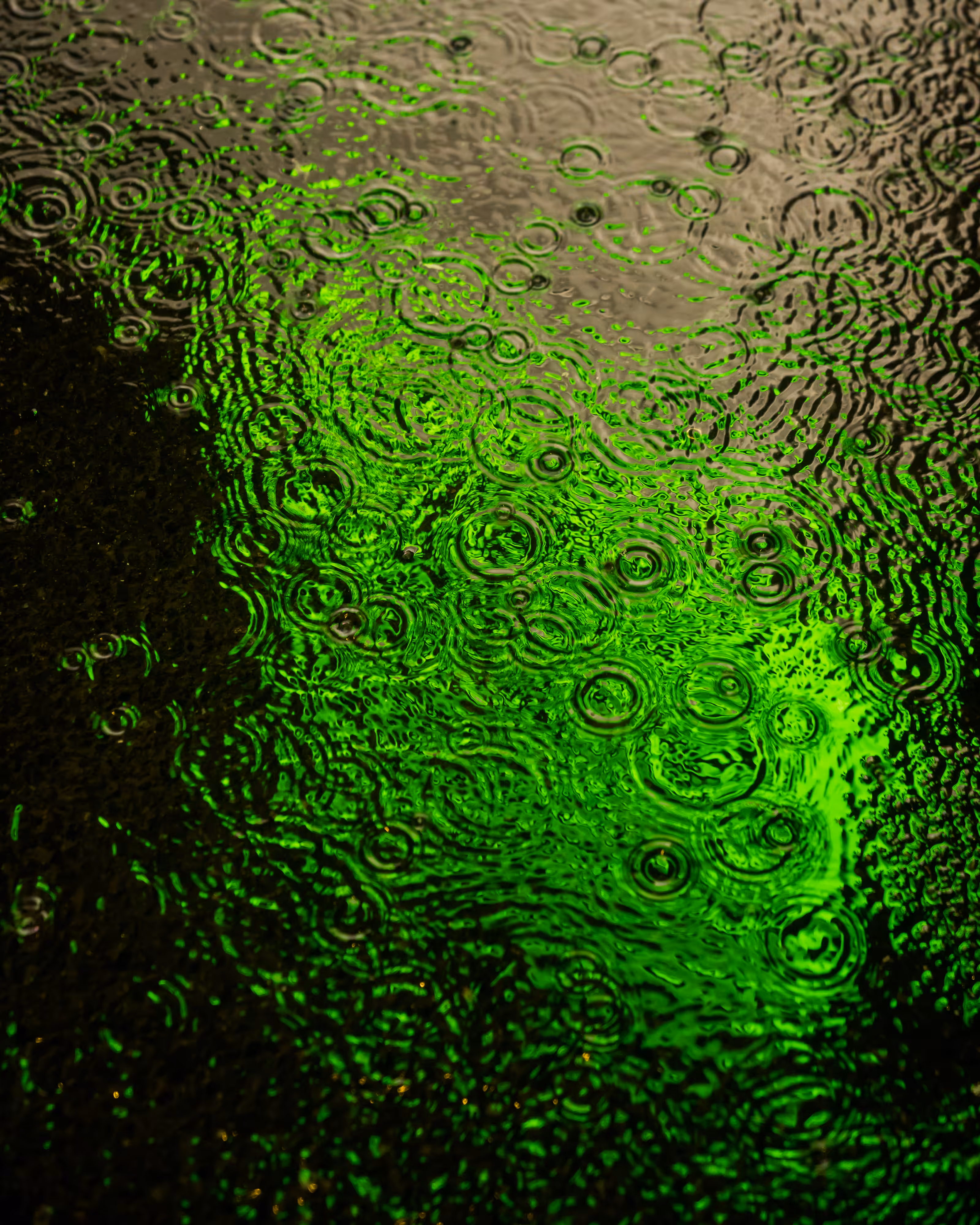 DRIP DROP: DRIP #305