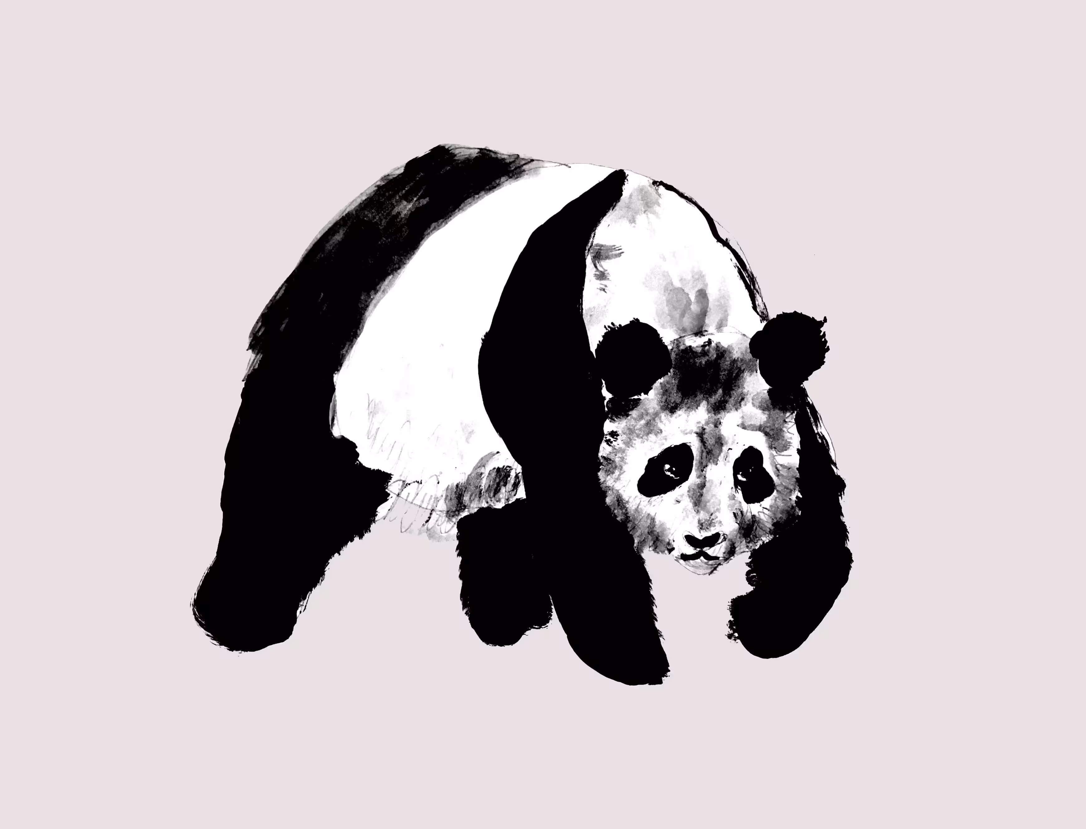 Panda love 
