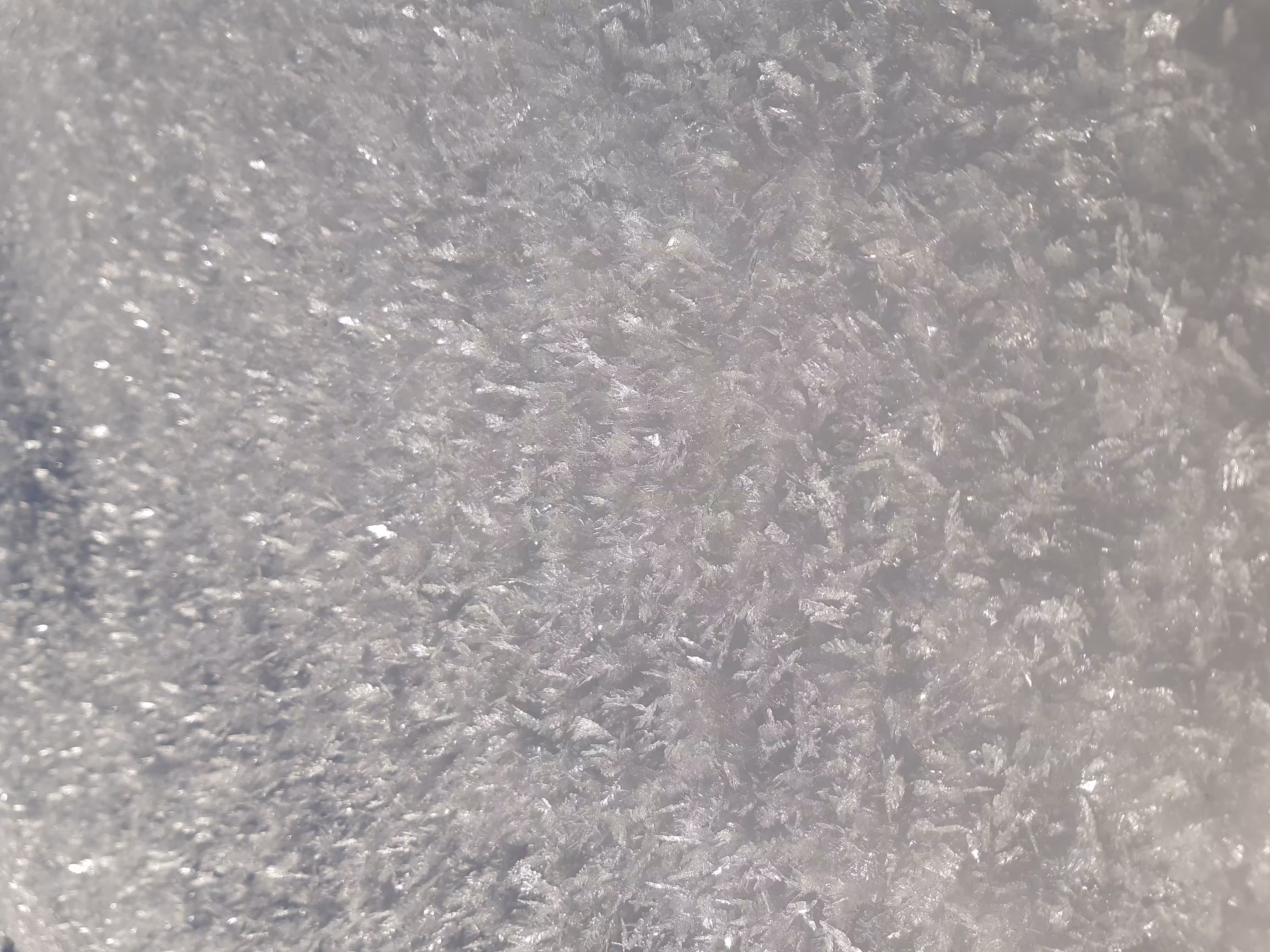 De la Neige en été #1