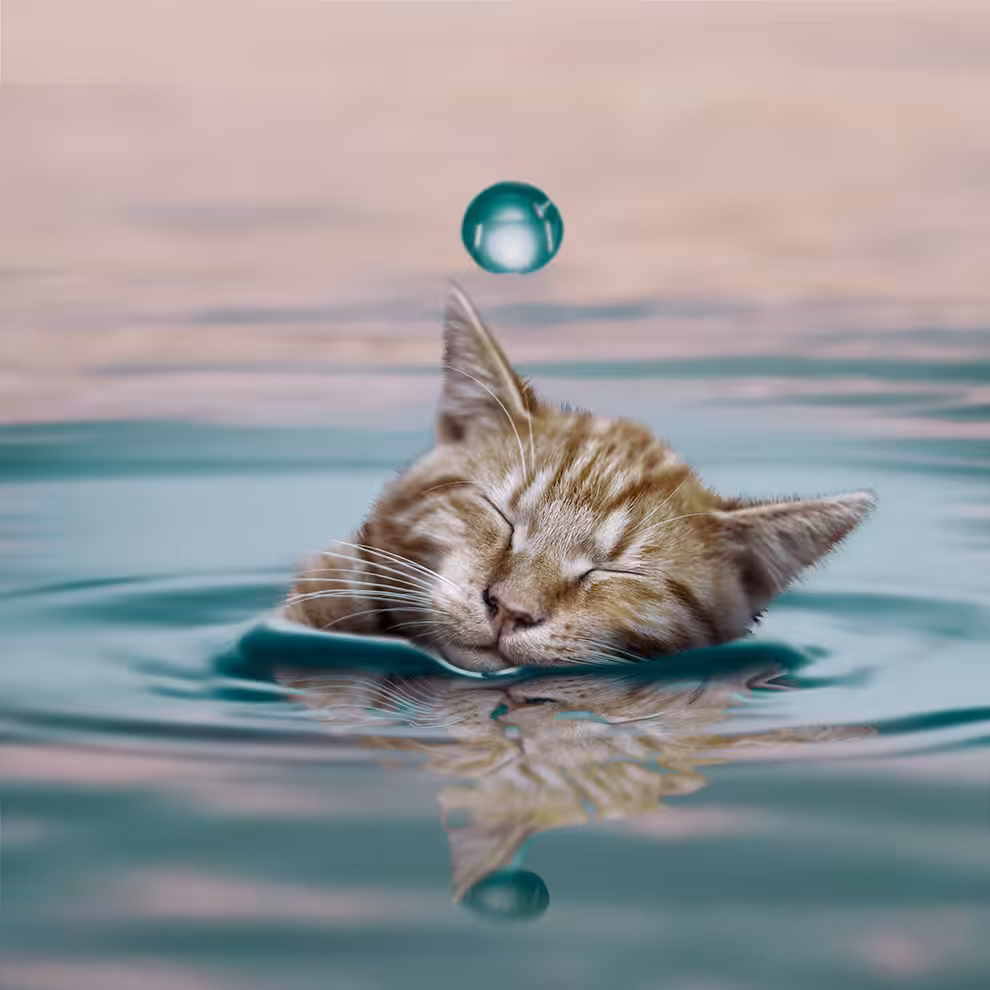 A drop of Cat
