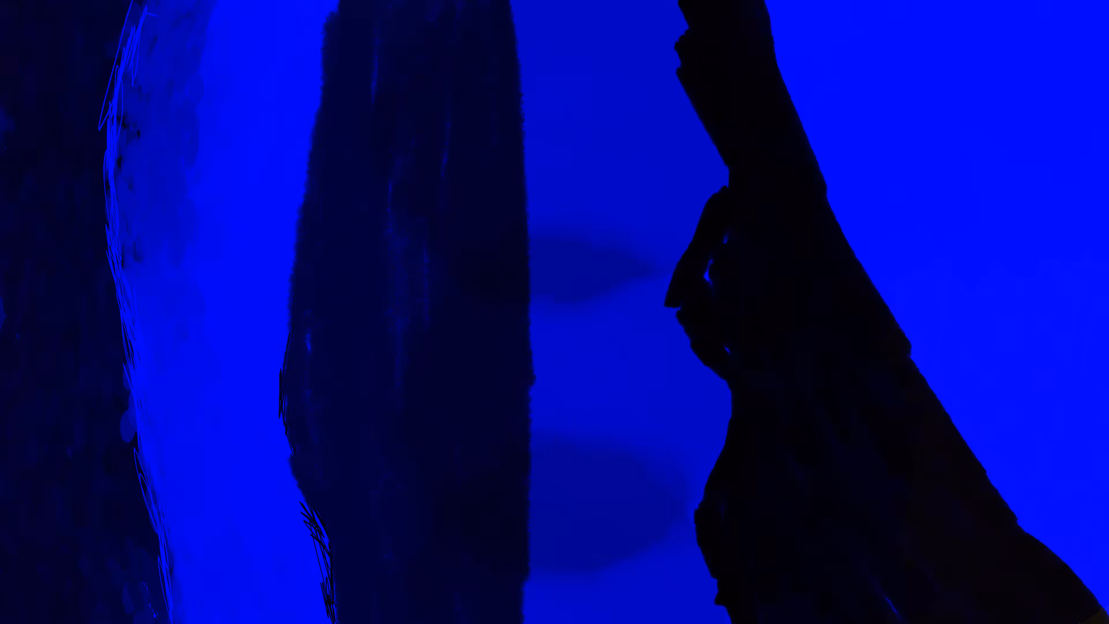 bleu: bunny