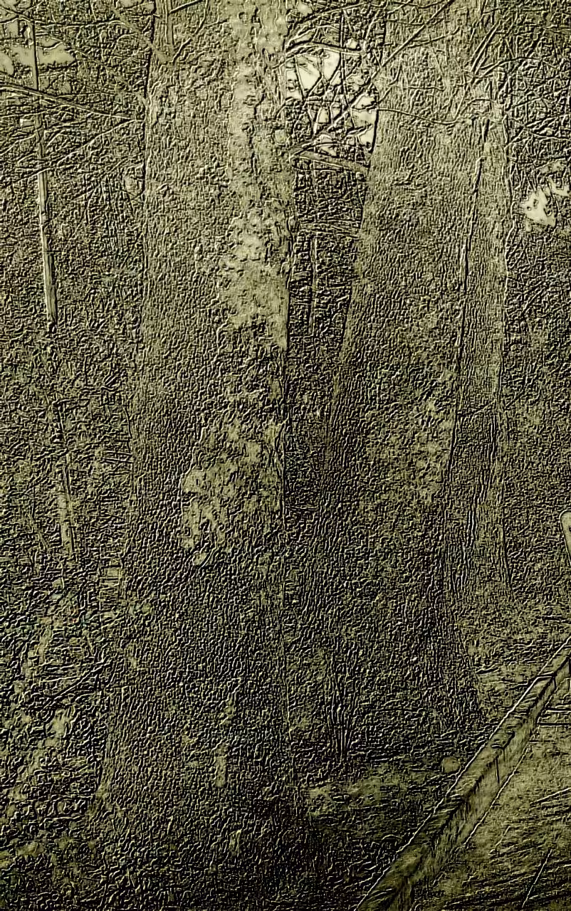 The trees(5)