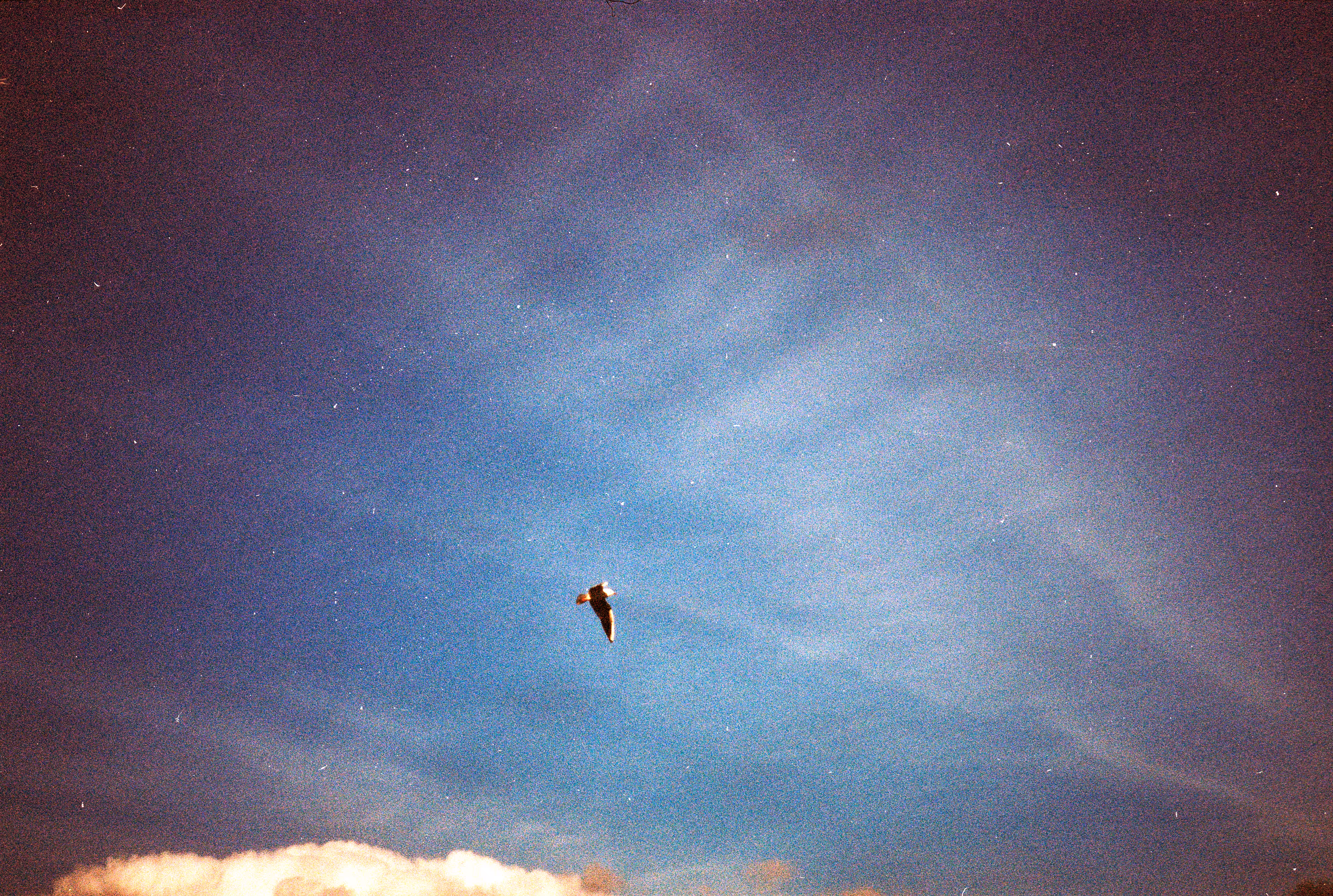 inner skies
