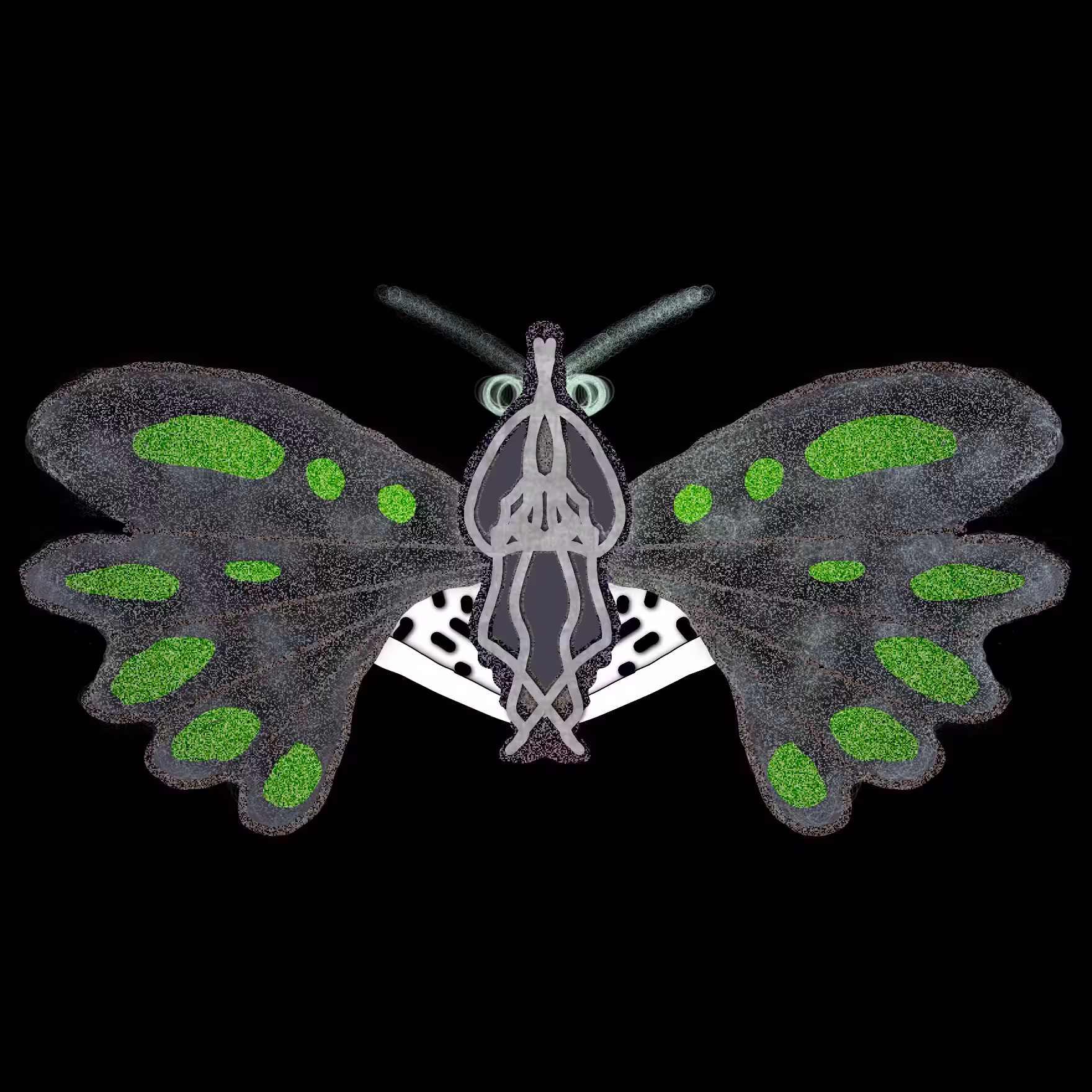 Tezerfly#044
