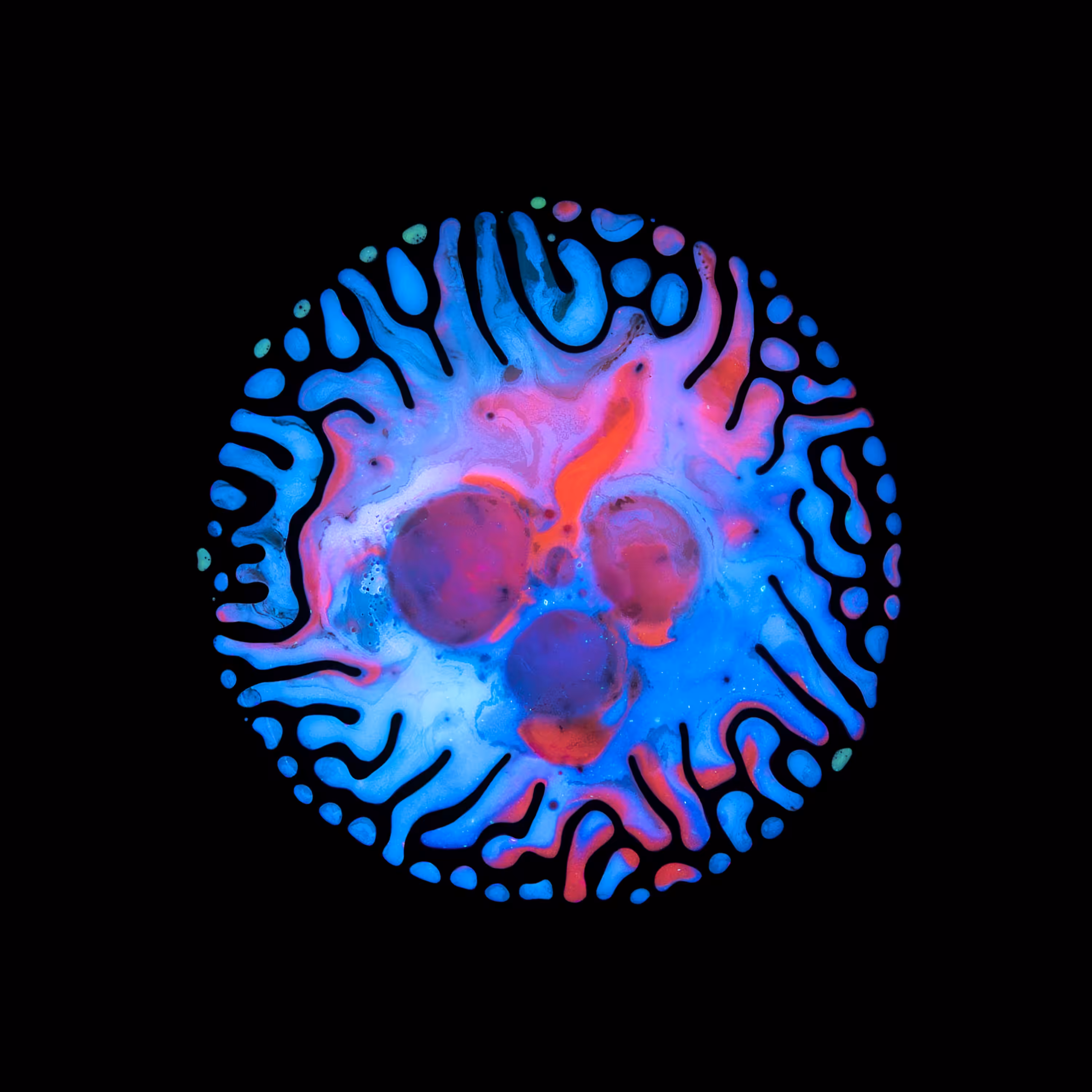 Haematopoiesis #172