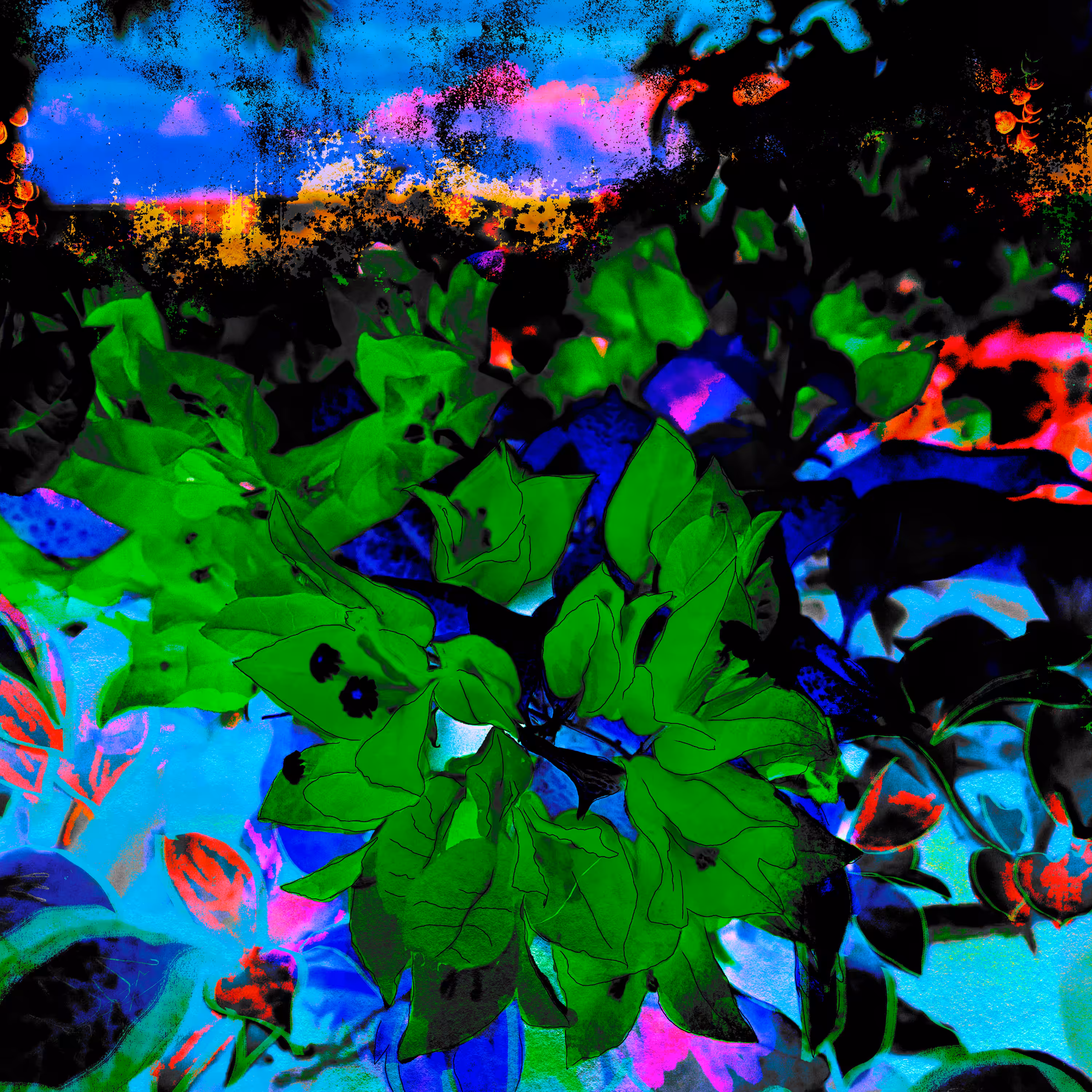 Skyrooted