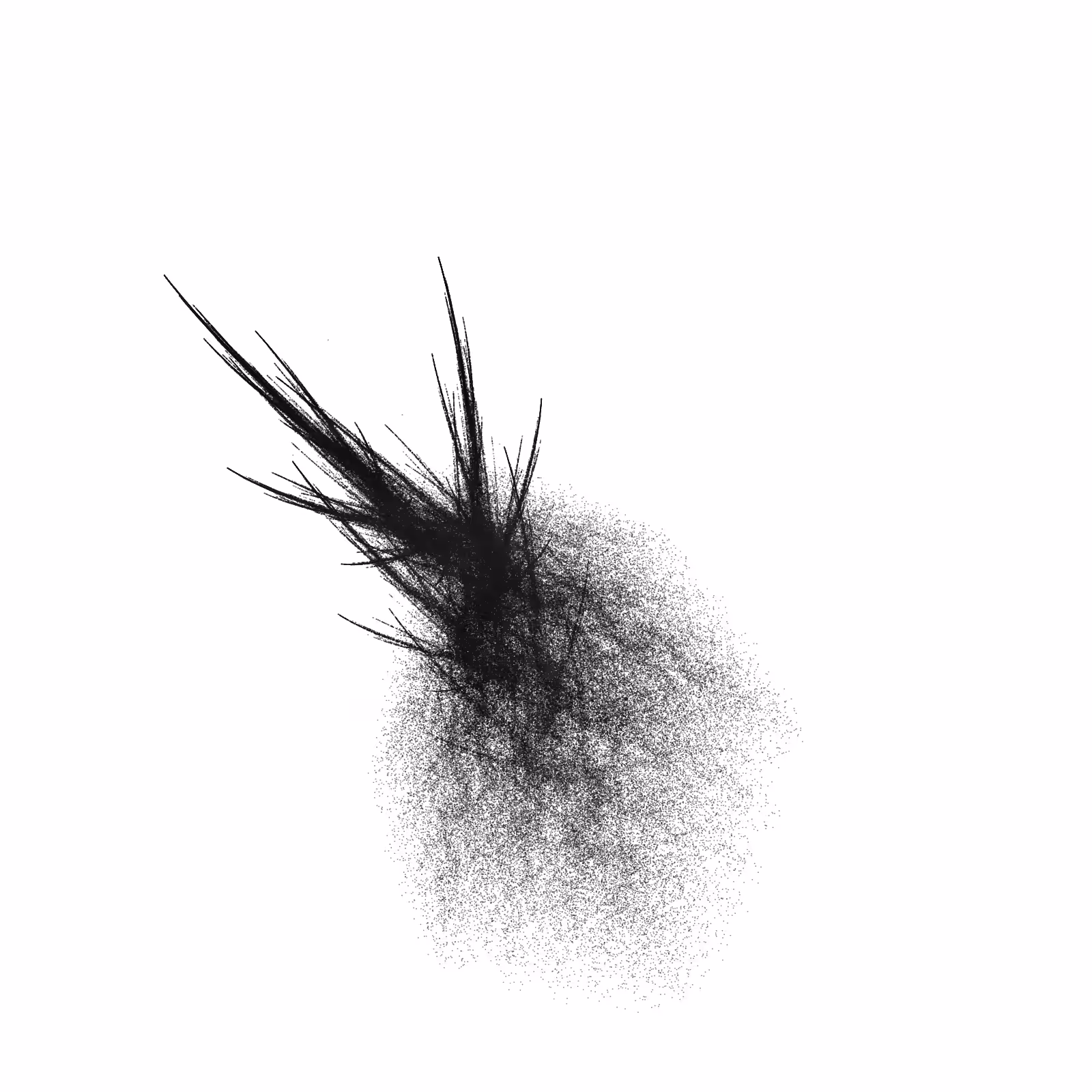 Seed 015