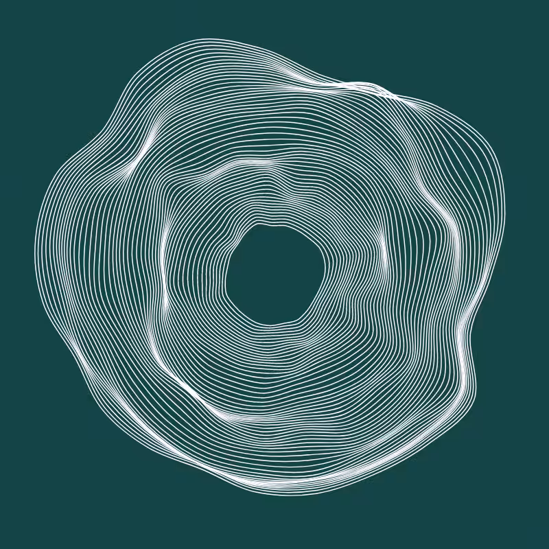 polygonisms #144