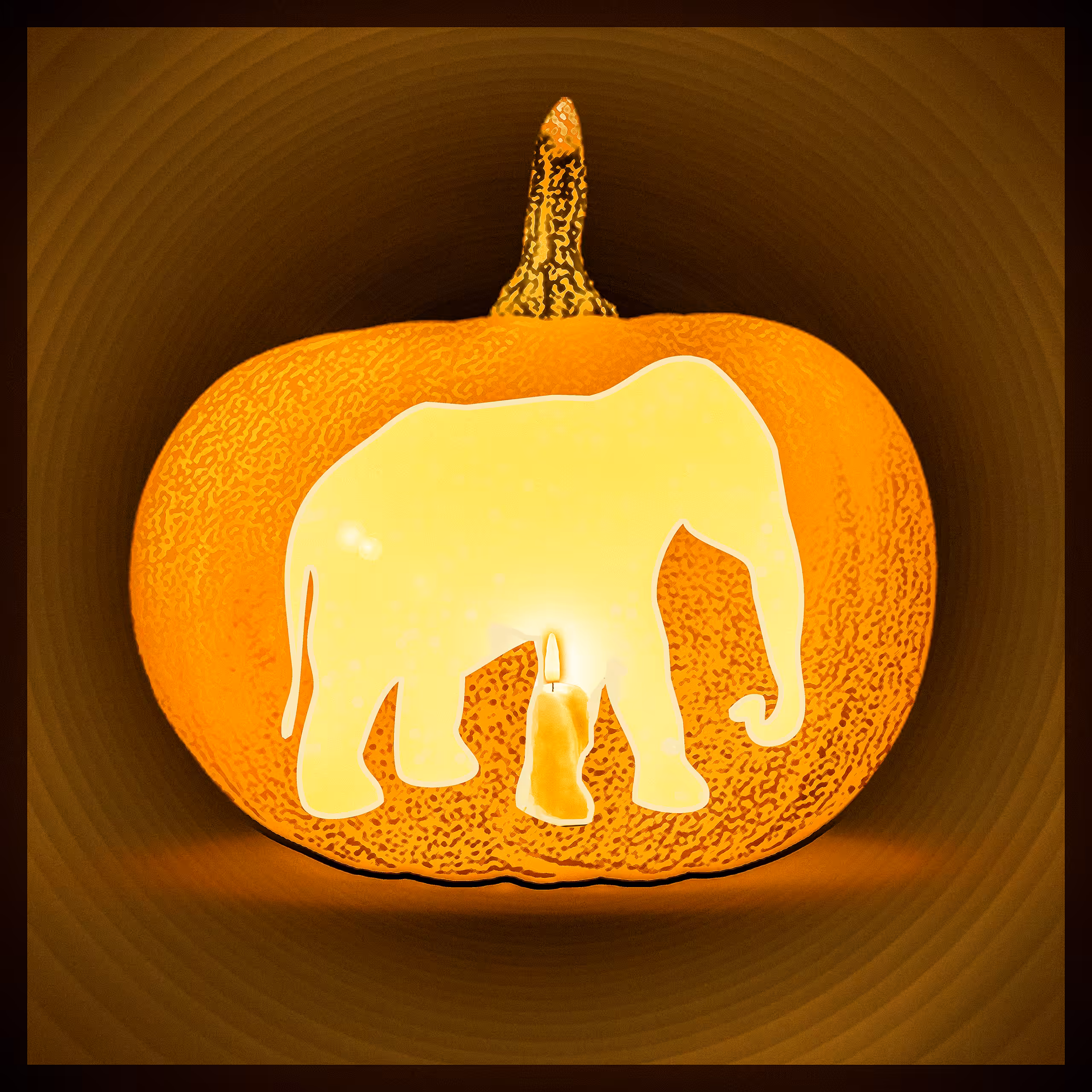 Punky Pumpkins 03 