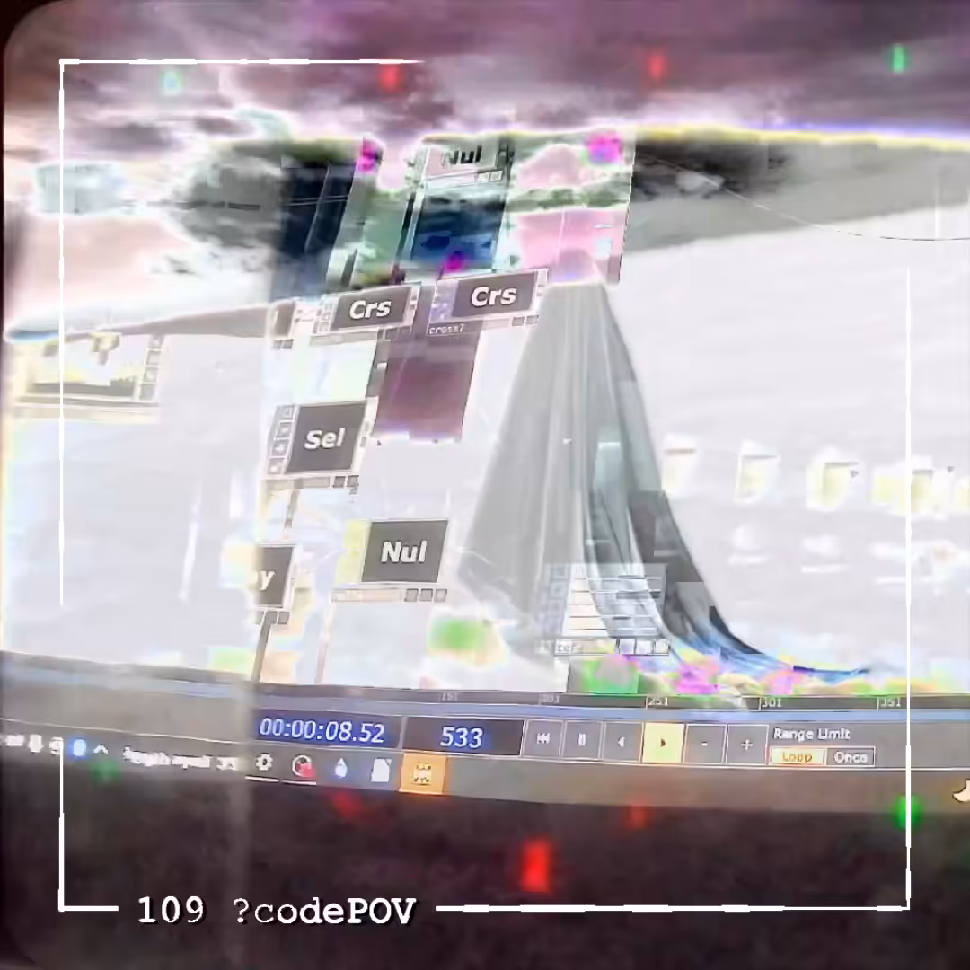 109 ?codePOV