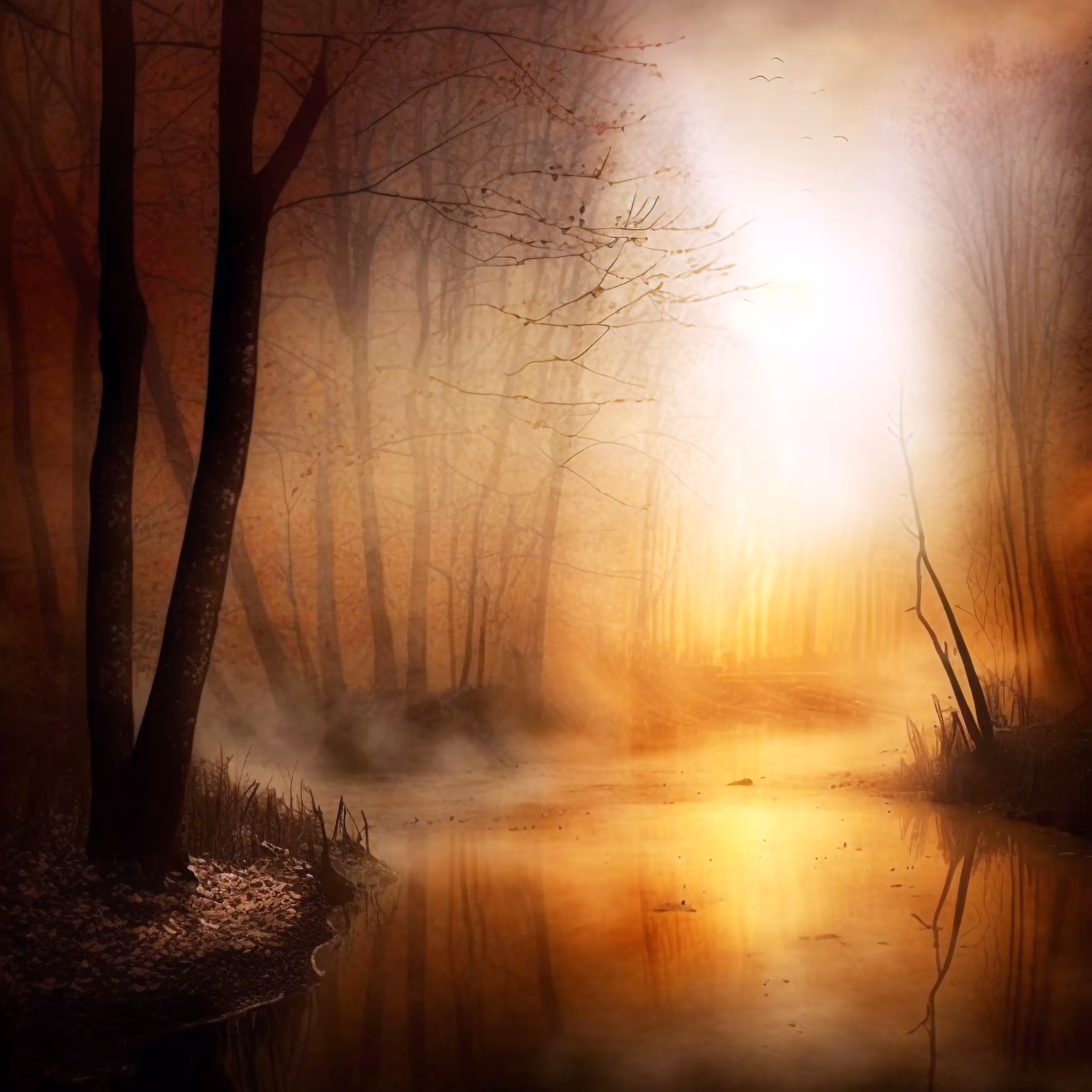 Dreamscape #993
