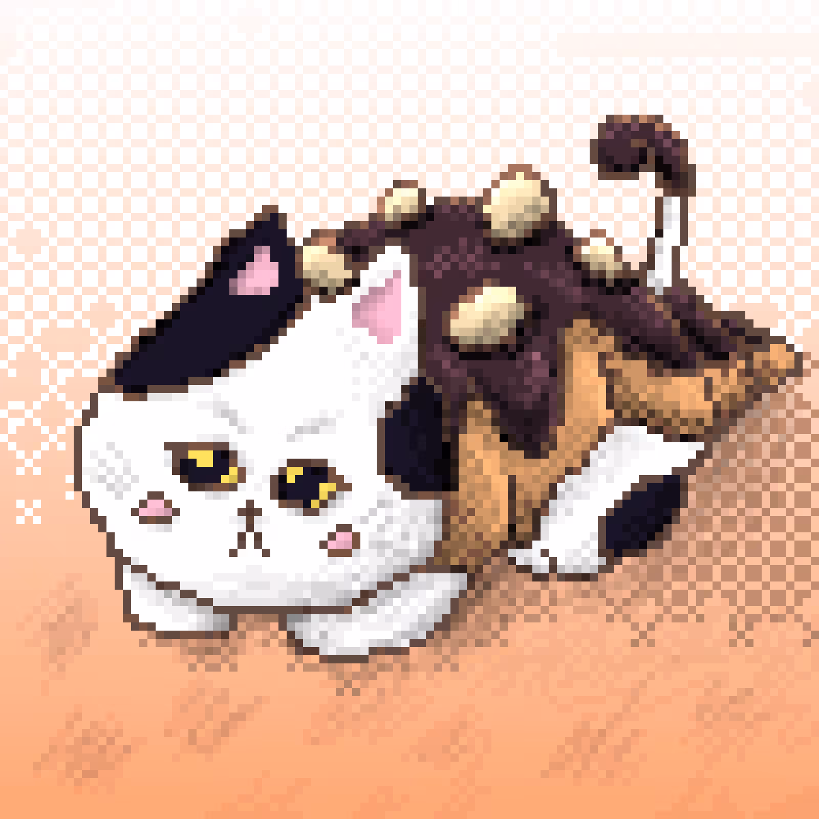 Croissant Cat #2
