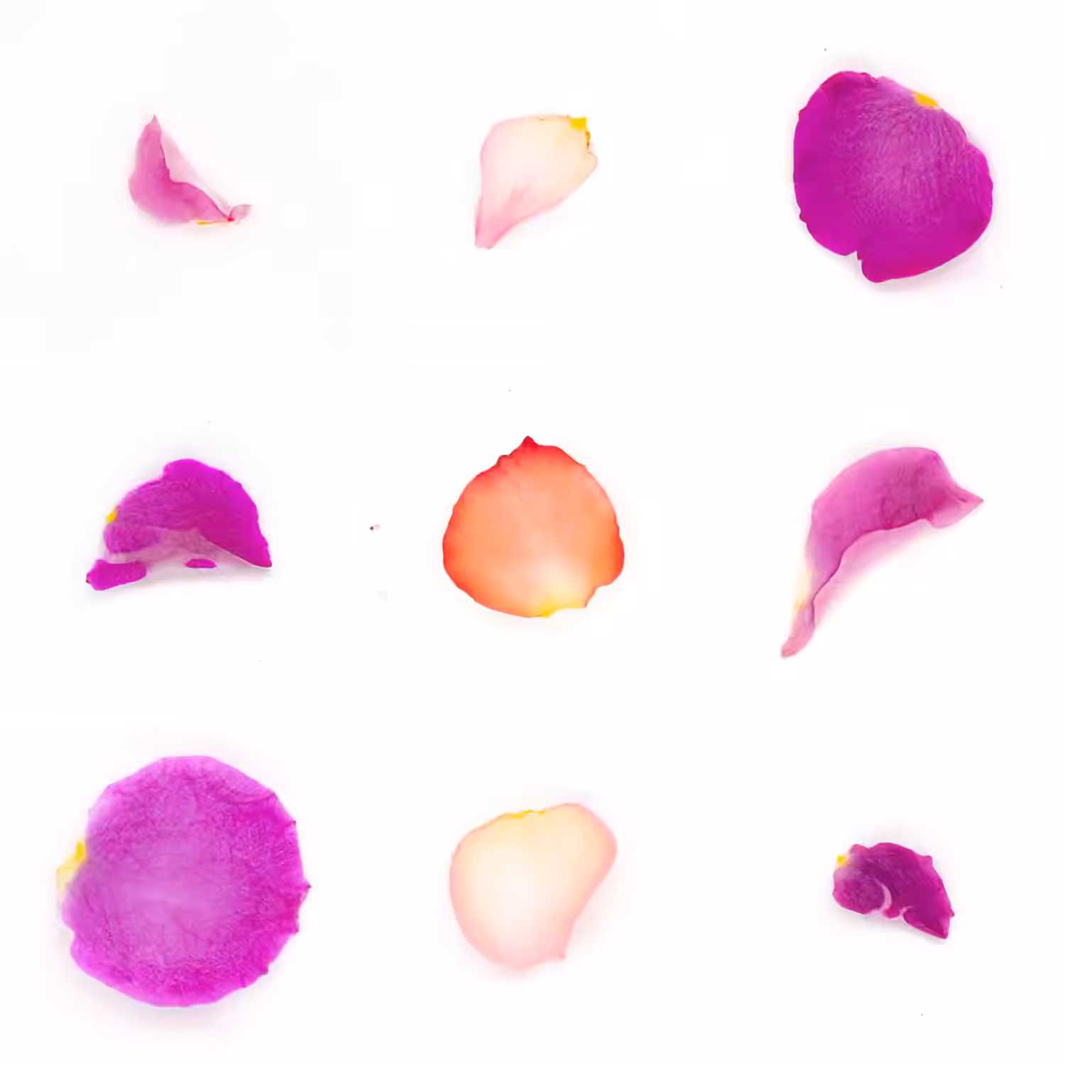 Infinite Petals 3x3#3142