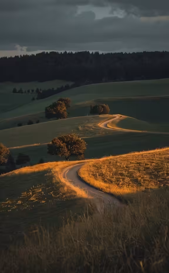 Inspiration Nature: Inspiration #62
