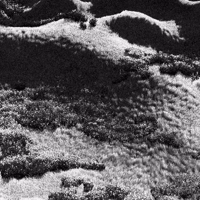California Hills in Late Sun #107