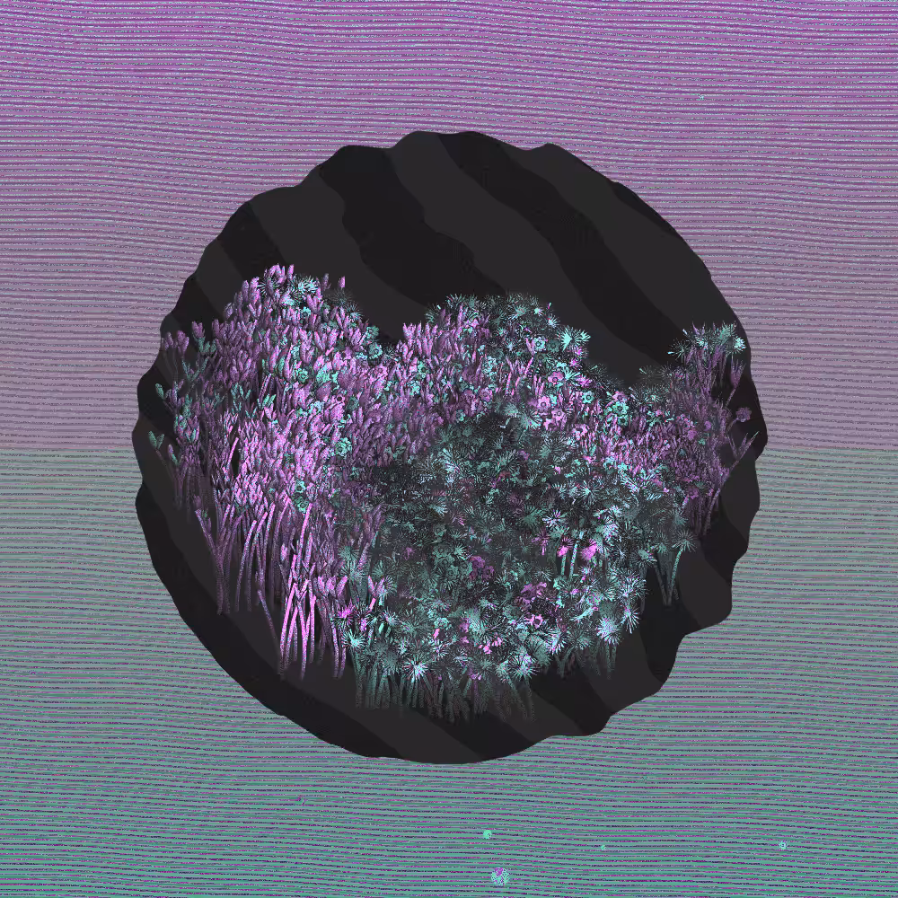 A Gift of Nature #15