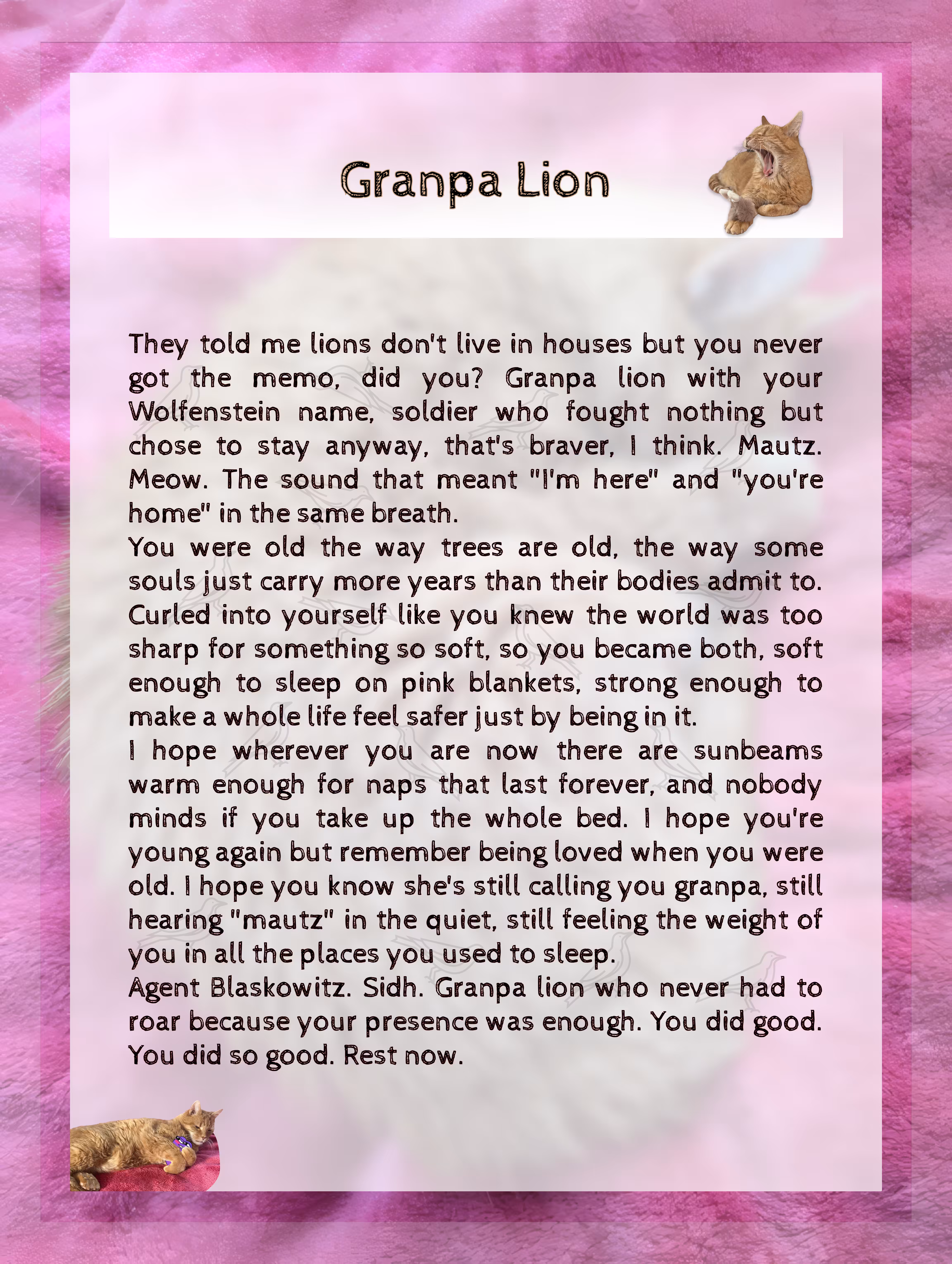 Granpa Lion