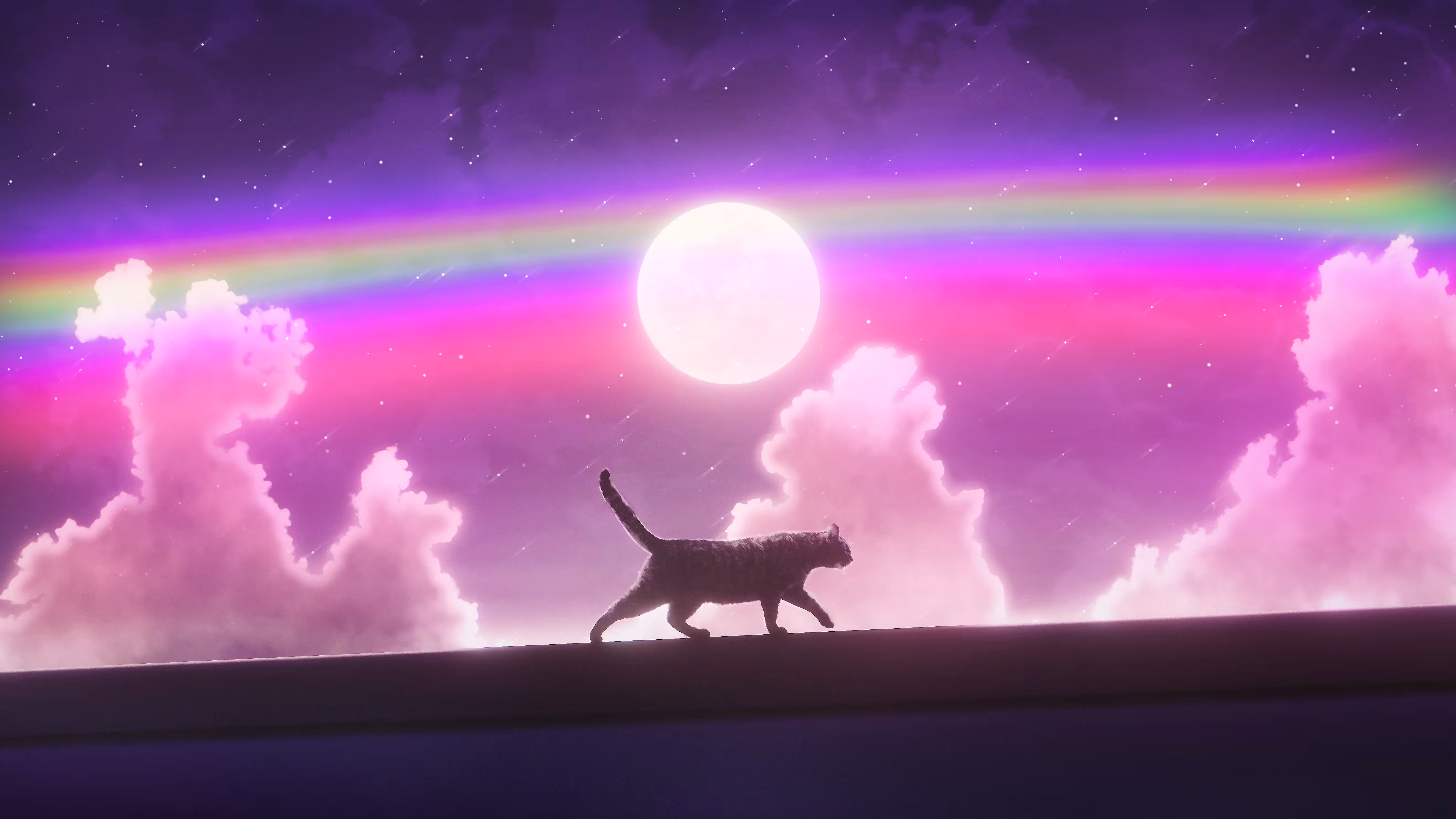 Cat on Outing