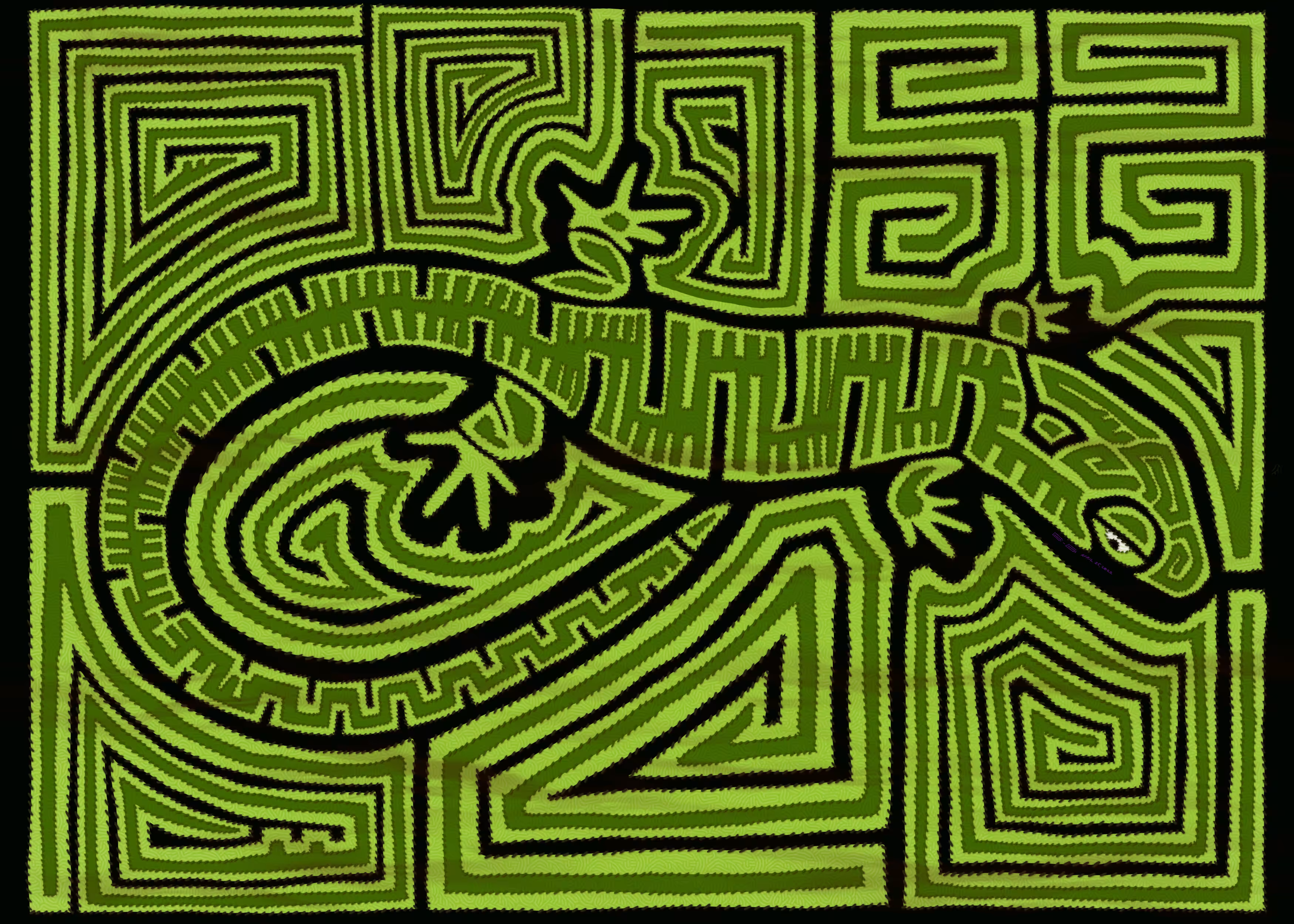 Mola Art Lizard