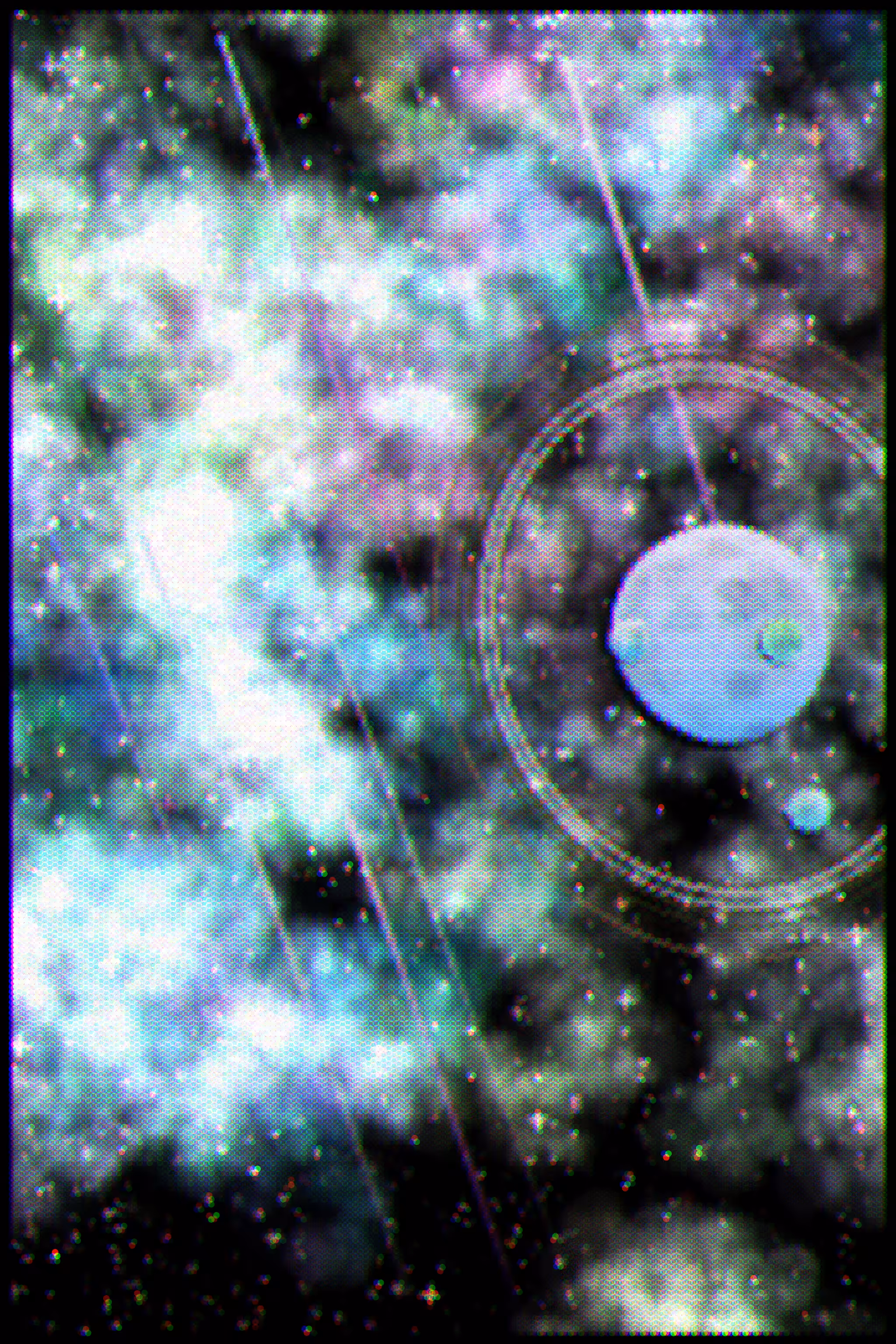 Gradient Ascent #49