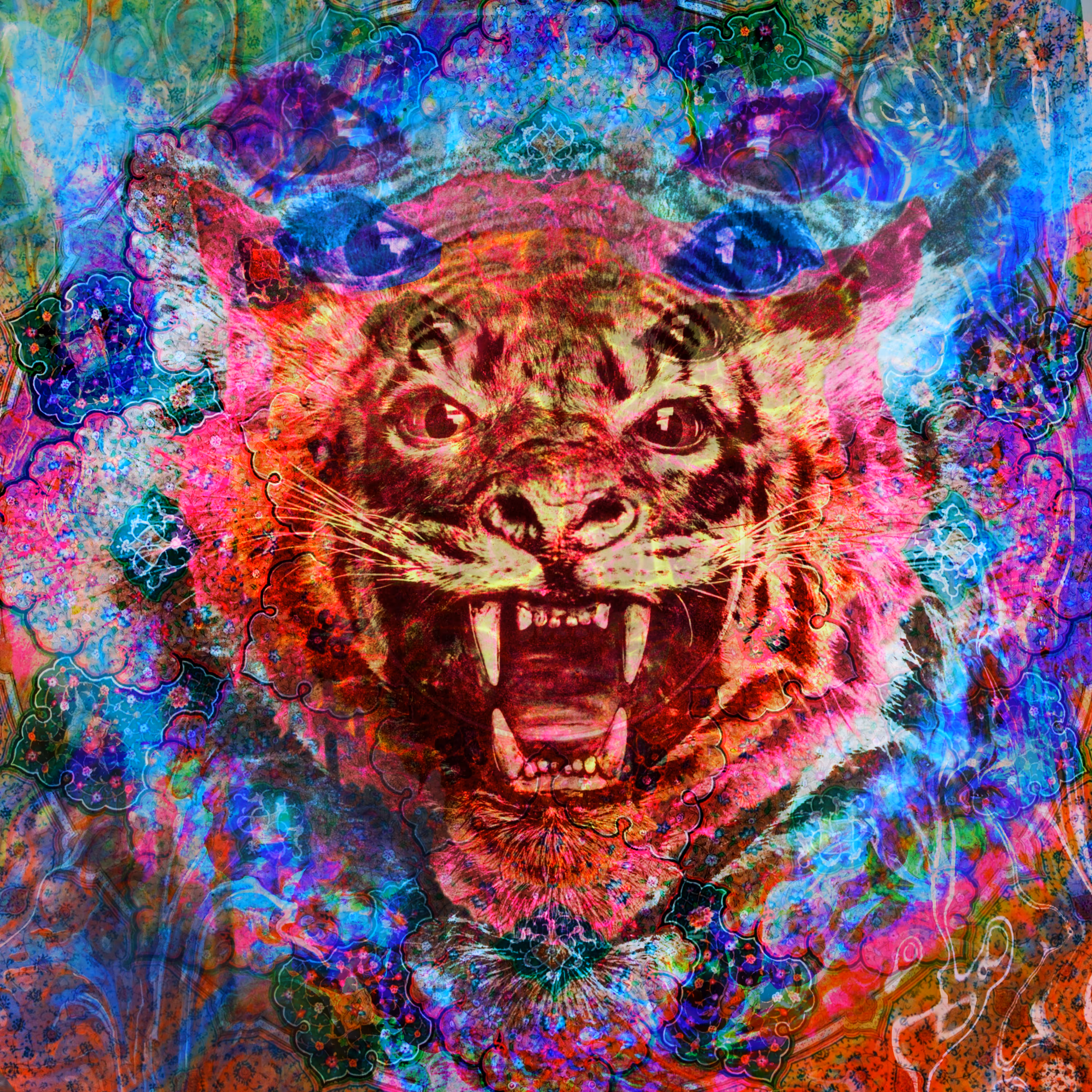 Puddled Tiger