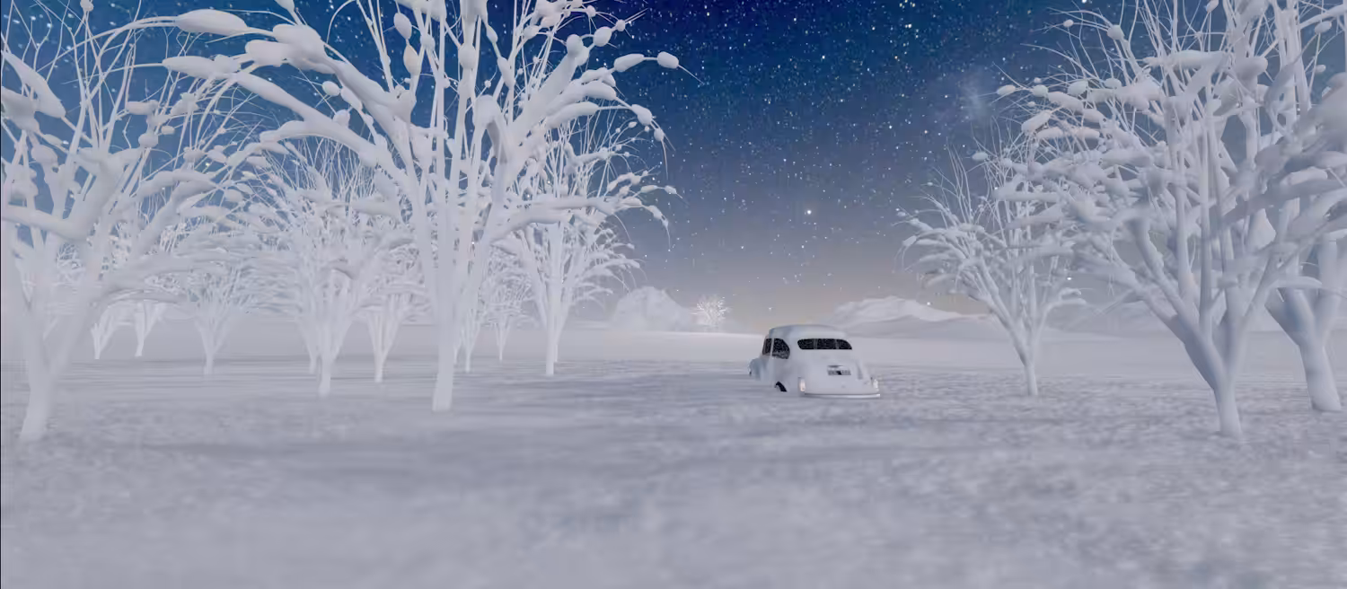 SNOWARP