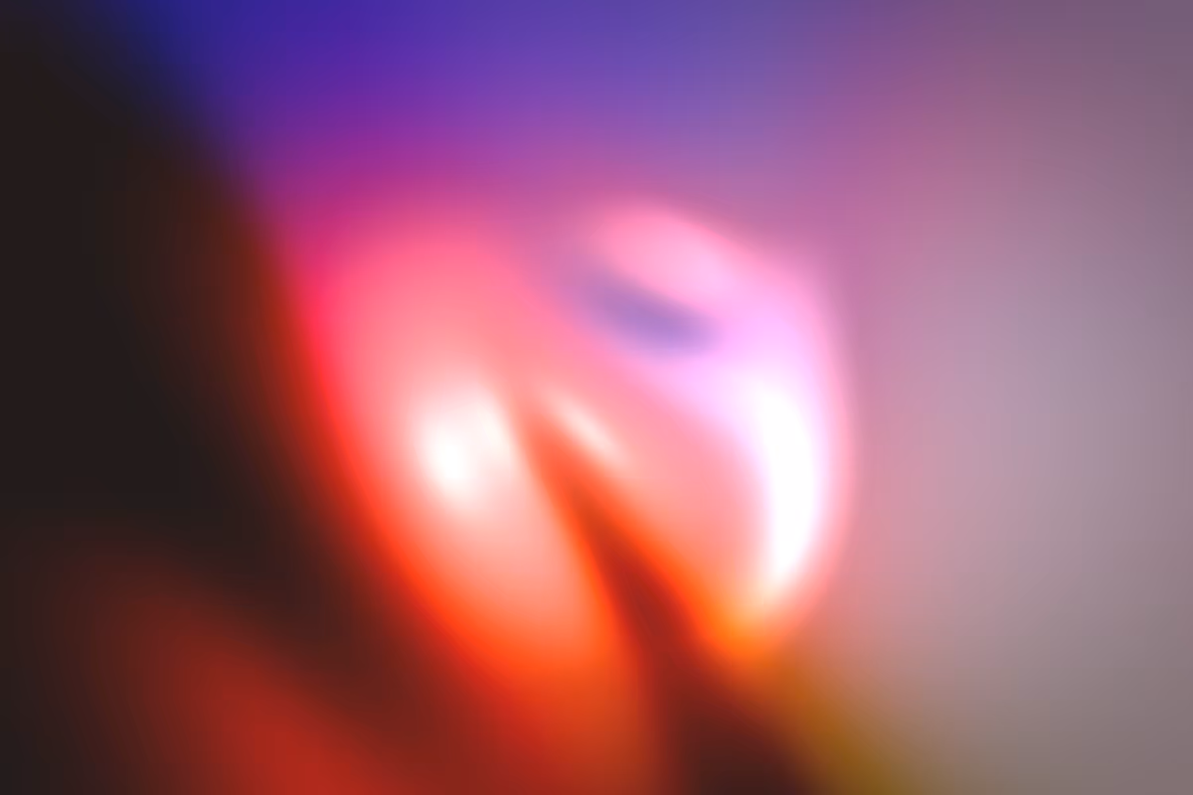 Flux #456