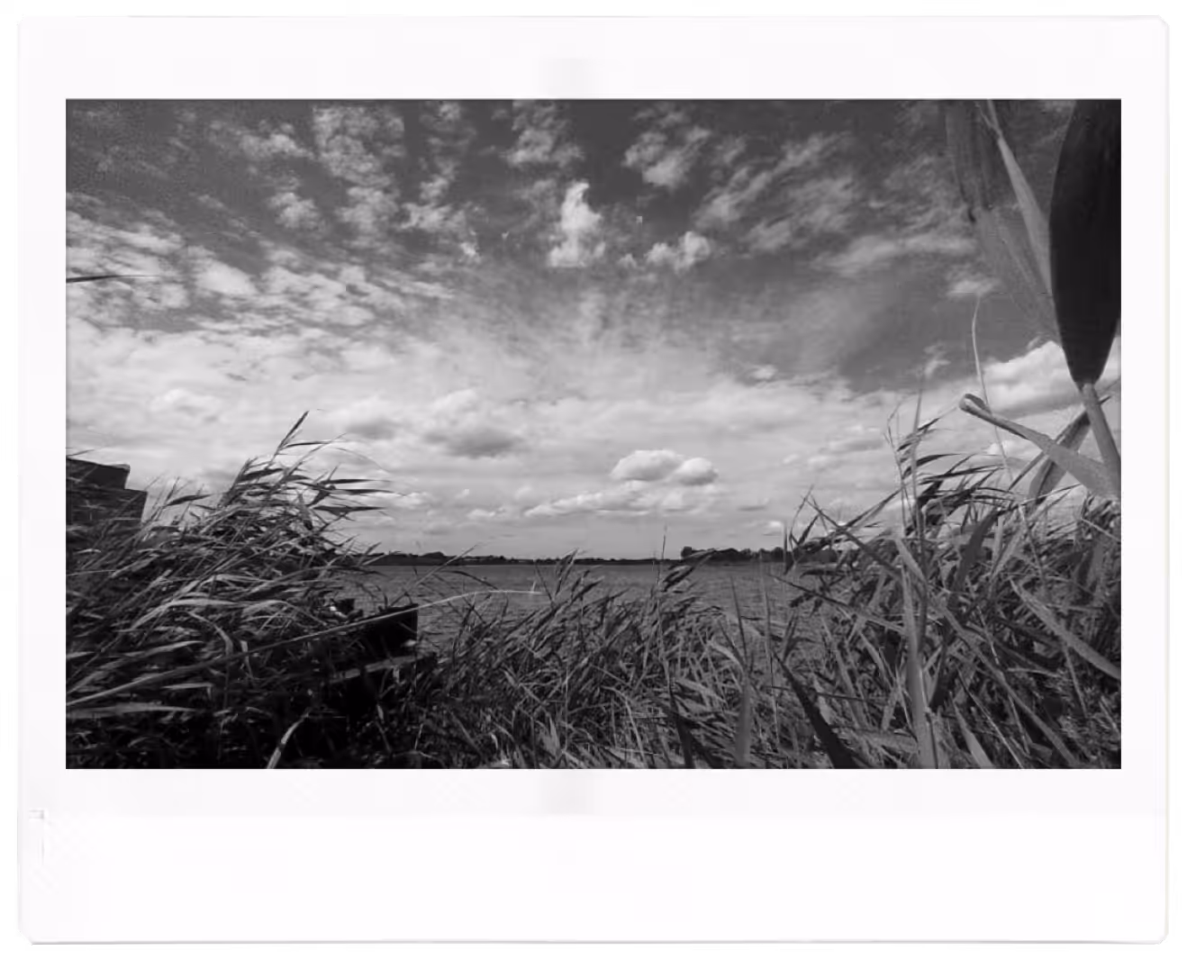 Travel shoots + drone  - analog and digital 