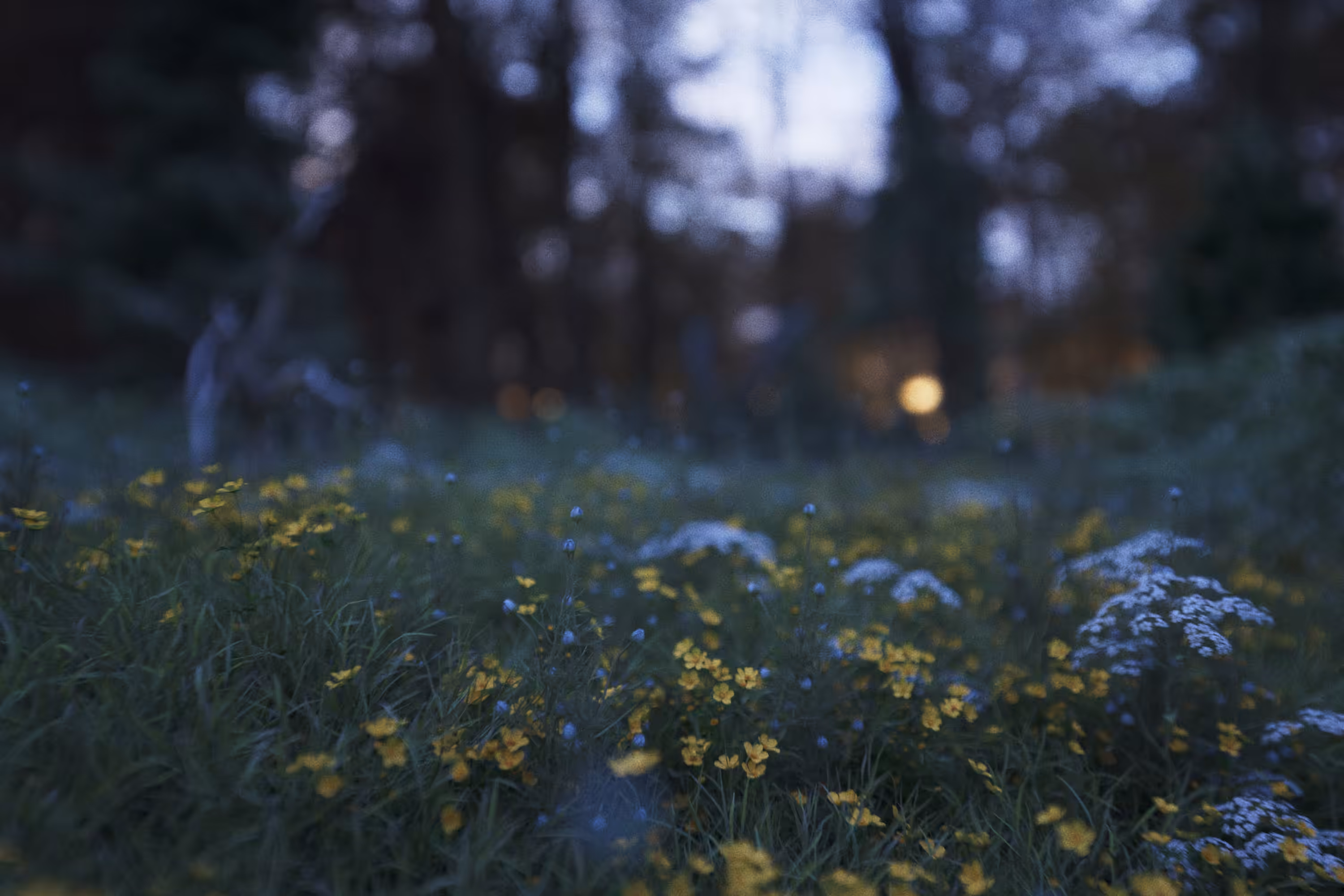 Mellow Meadow 