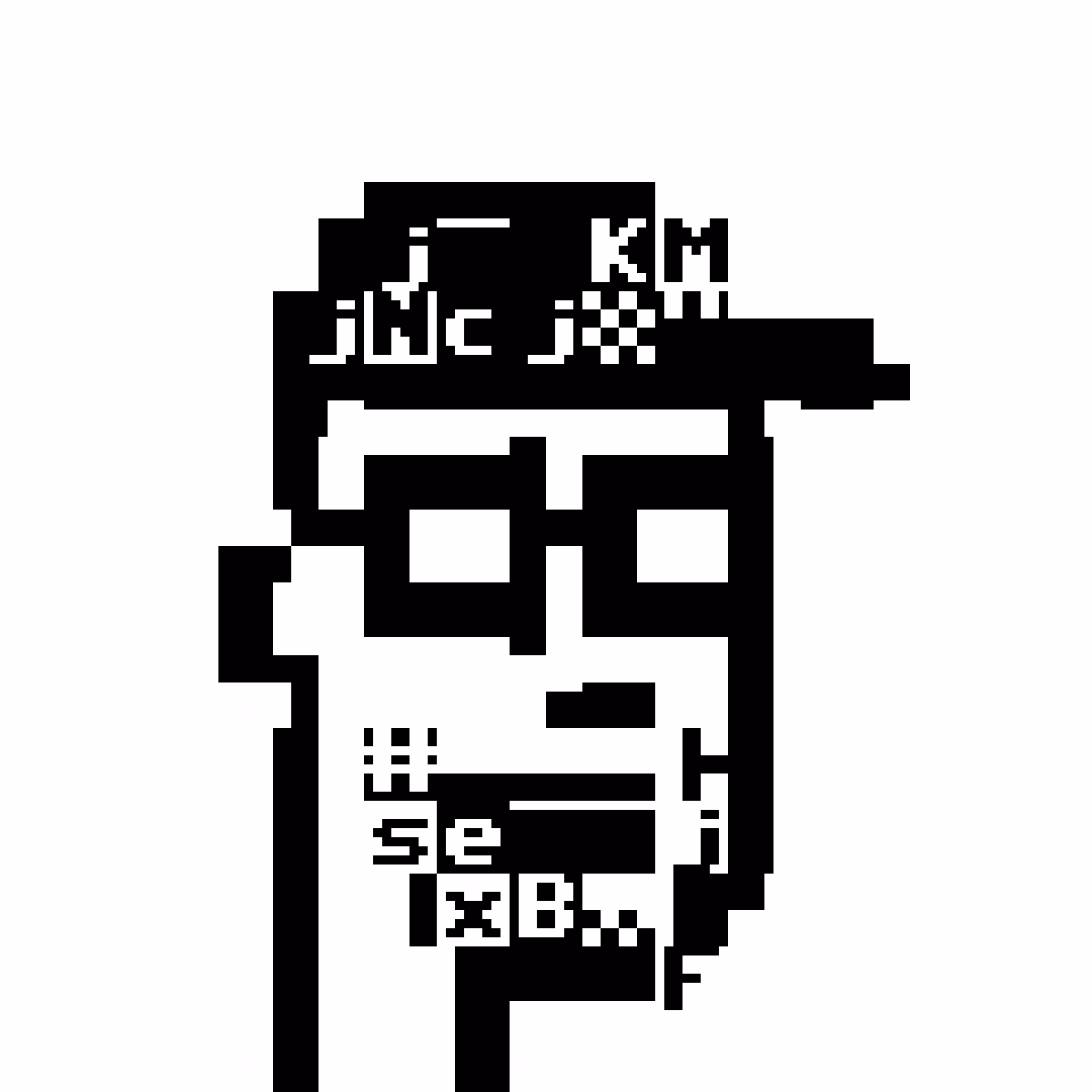 PET Punk 484