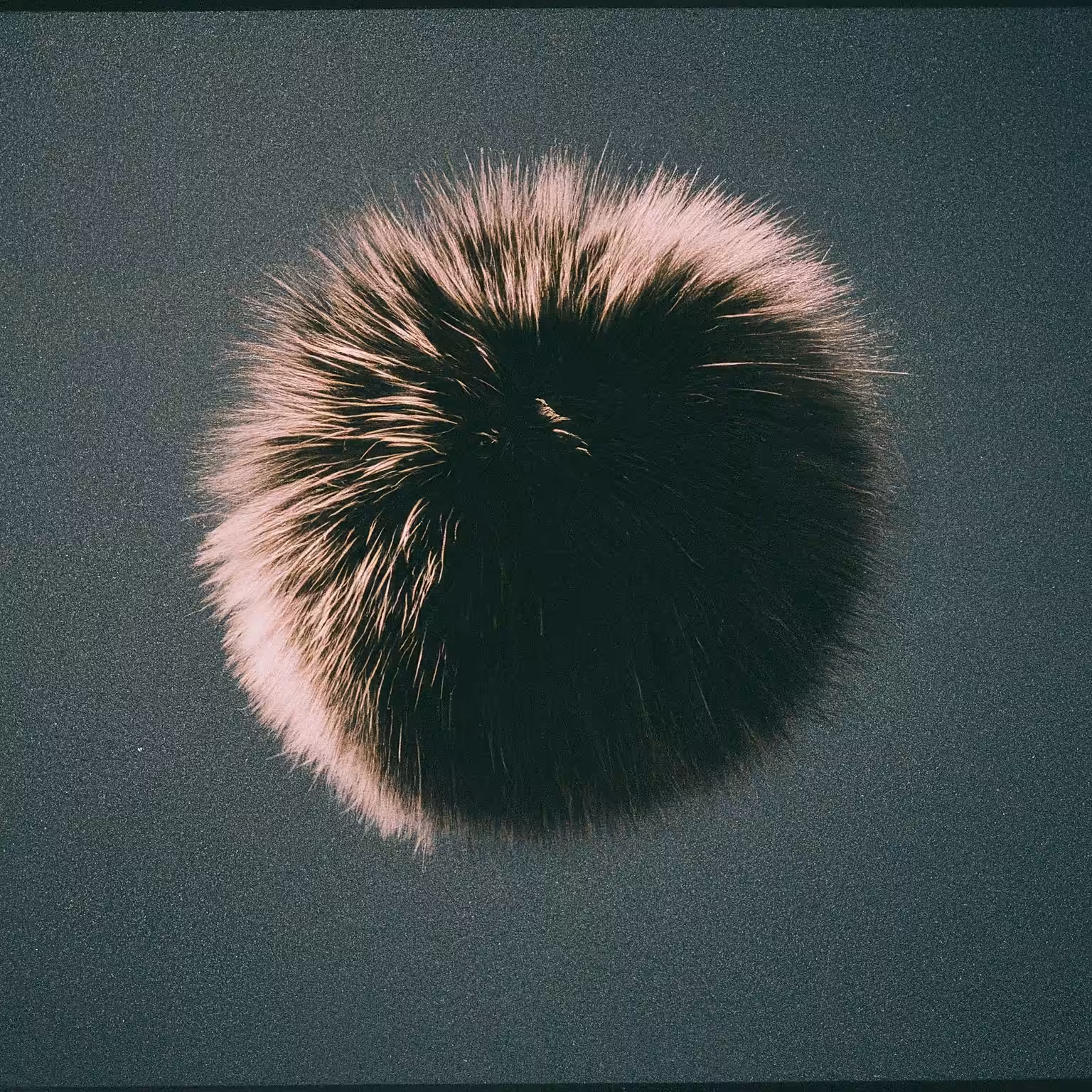 Mr. Cosmo