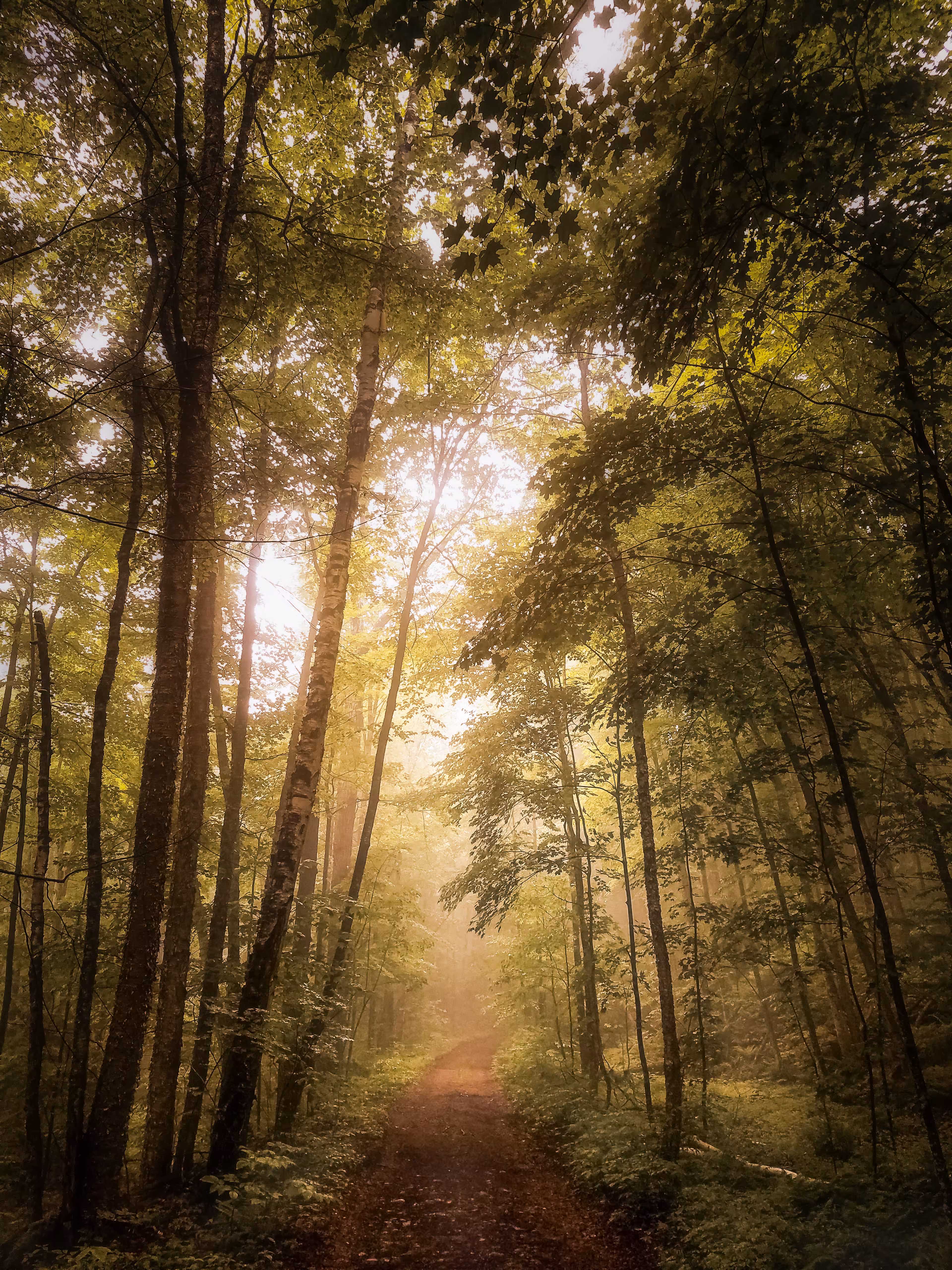 The Long Way Home