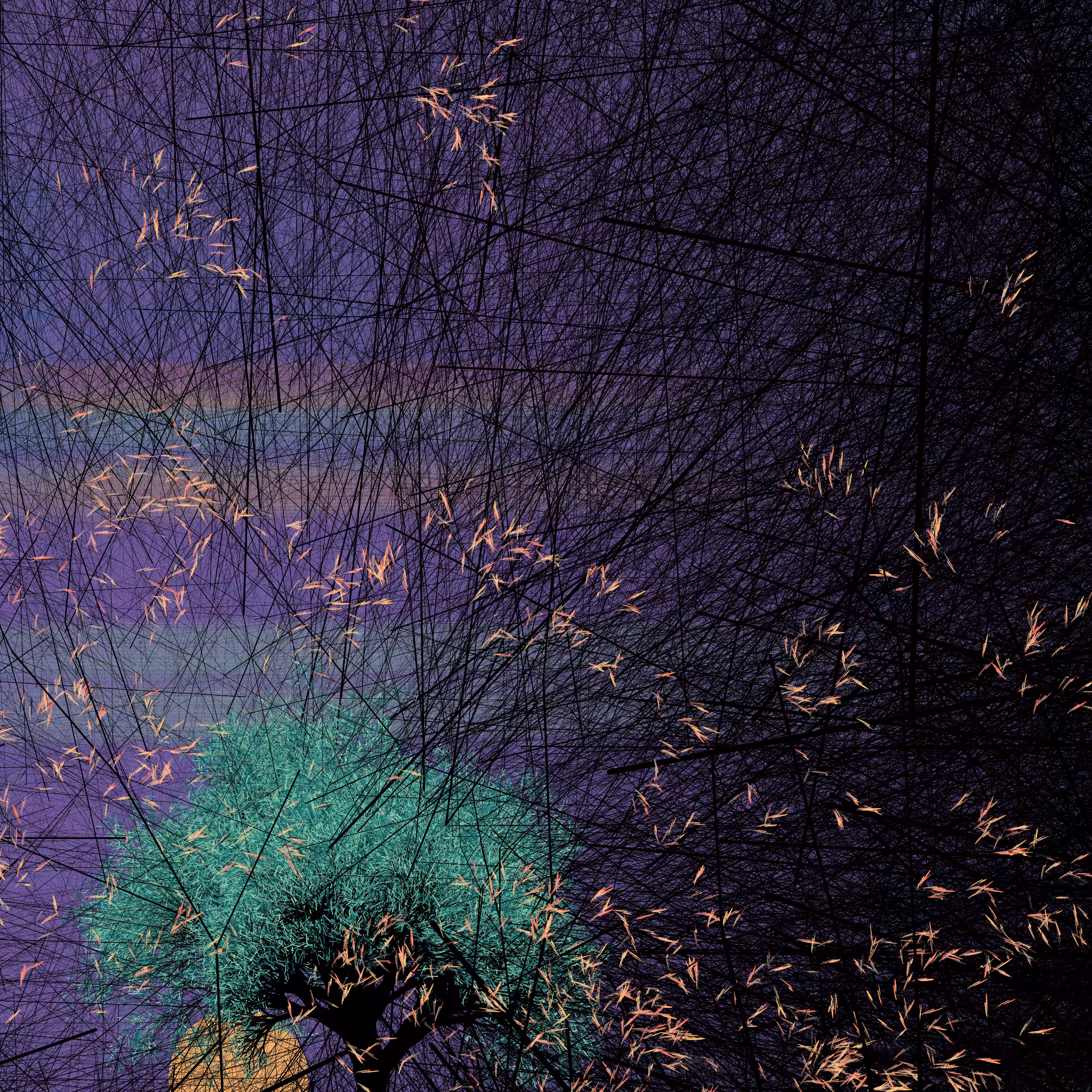 conversation with the wind #975