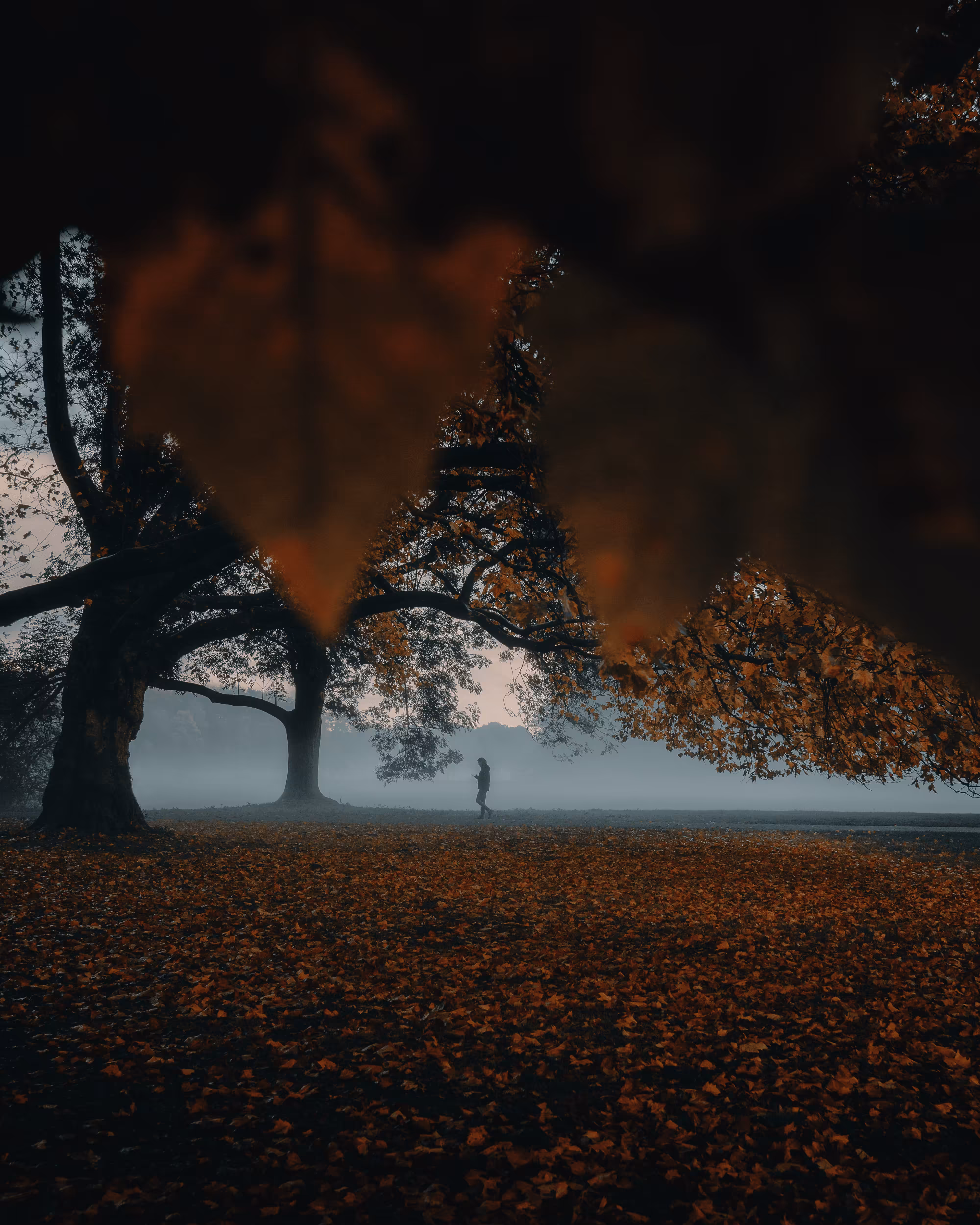 Stranger #5
