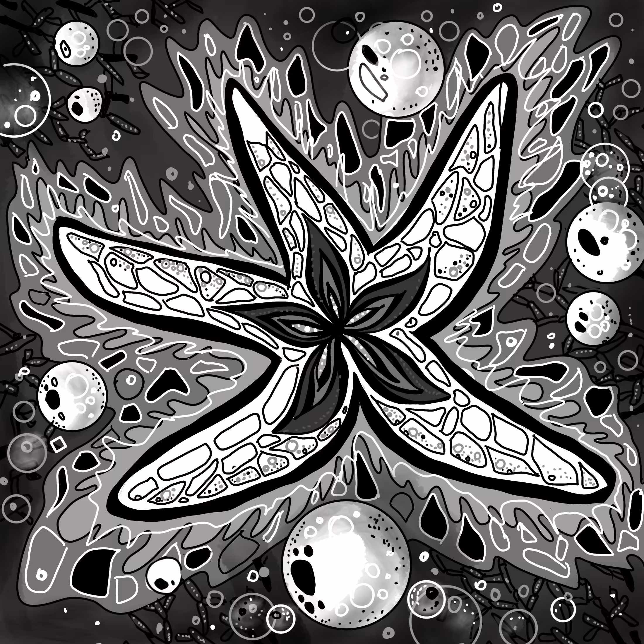 Ink  FANTASY : The starfish 